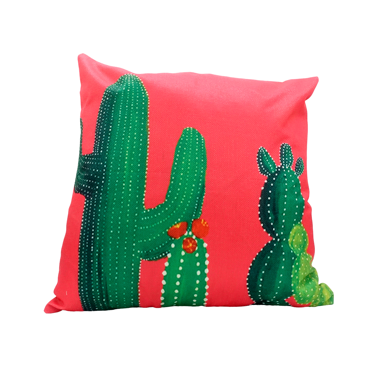 サボテンクッションカバー 毒と楽園 Poison And Paradise