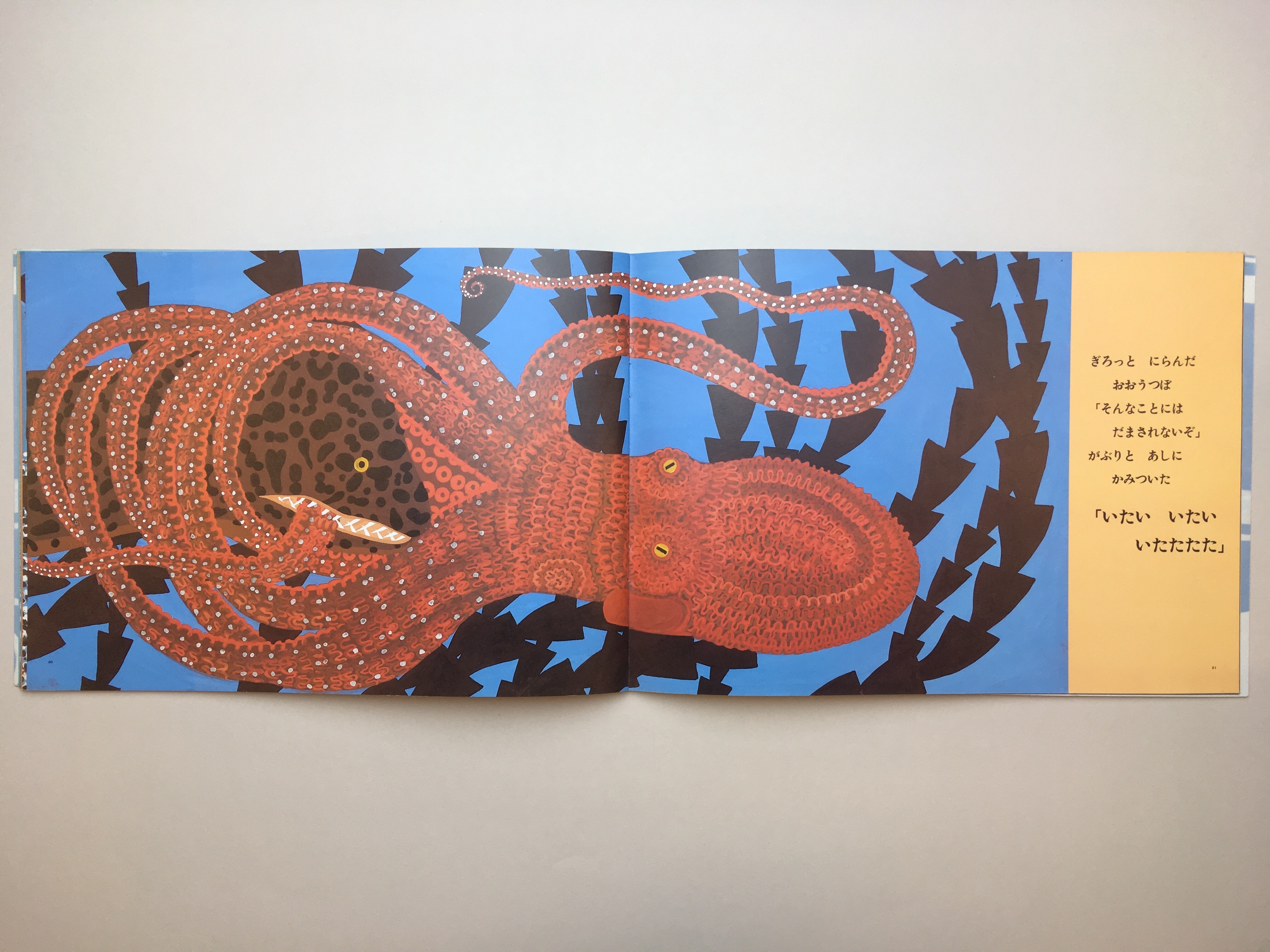 たこなんかじゃないよ 秋野和子 秋野亥左牟 B241 コ本や Picture Book Shop
