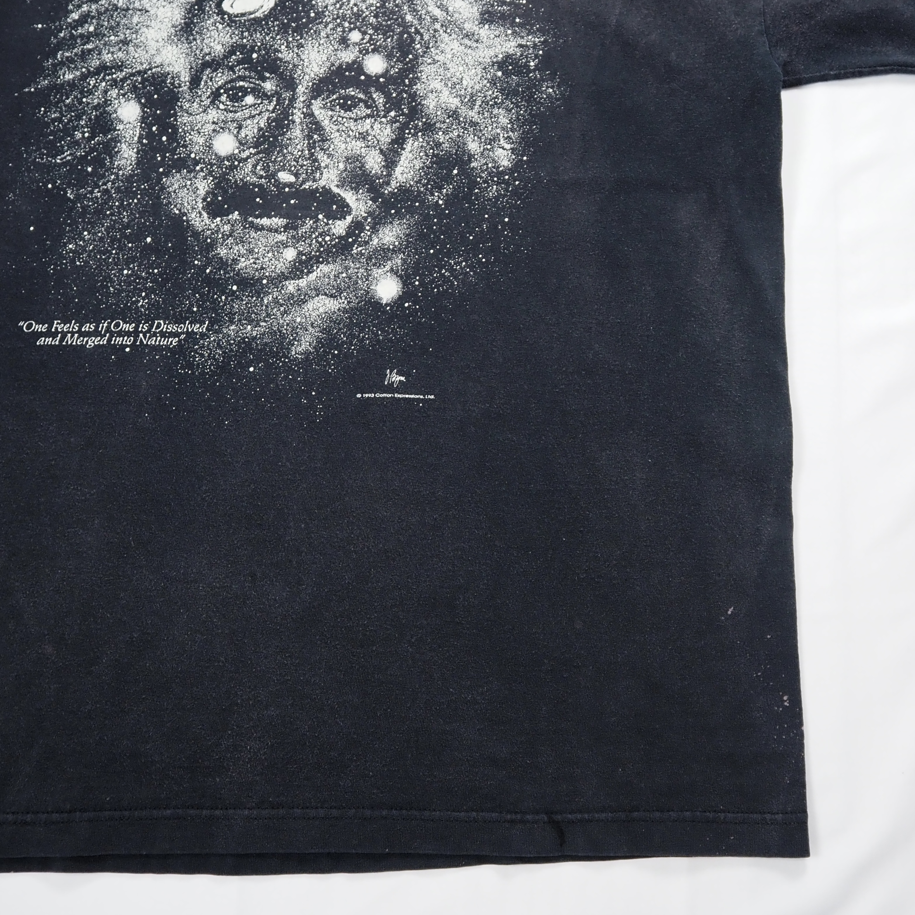 90’s アインシュタイン Tシャツ XL ブラックフェード の画像 14