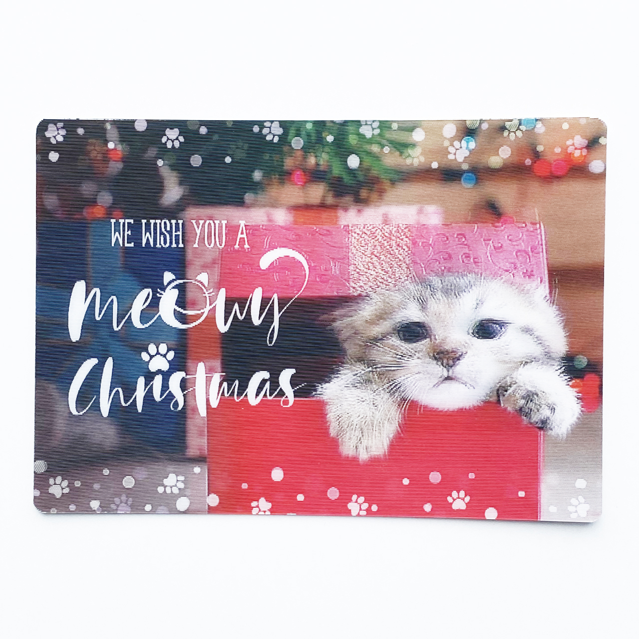 クリスマスカード ねこ箱 Gaplas クリスマスカード ねこ箱 Gaplas