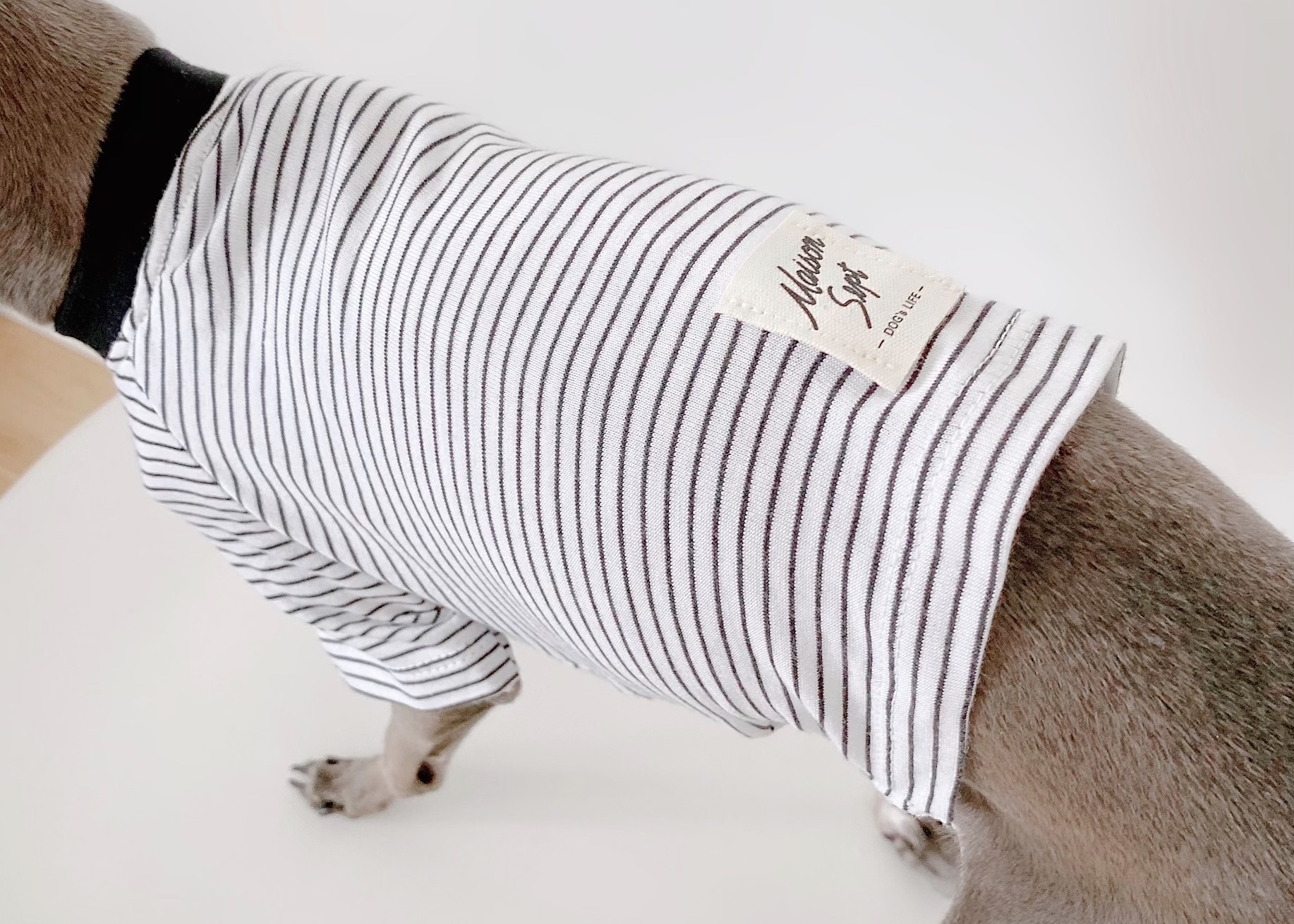 ボーダー ショートtシャツ ブラック ー 犬服 イタグレ服 ミニピン服 フレブル服 キャバリア服 Maison Sept メゾン セット ドッグウェア イタグレ ミニピン フレブル キャバリア ボーダー ショートtシャツ ブラック ー 犬服 イタグレ服 ミニピン服 フレブル服 キャバリア服 Maison Sept メゾン セット ドッグウェア イタグレ ミニピン フレブル キャバリア