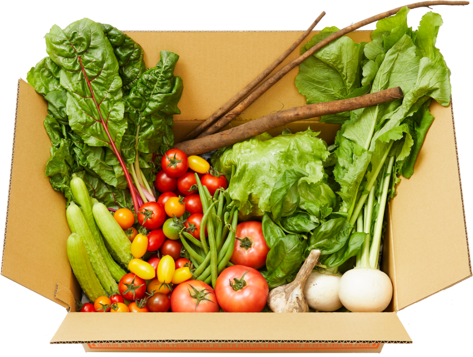 農家のゆうき 青森県産野菜の詰め合わせbox 旅する青森 農家のゆうき 青森県産野菜の詰め合わせbox 旅する青森