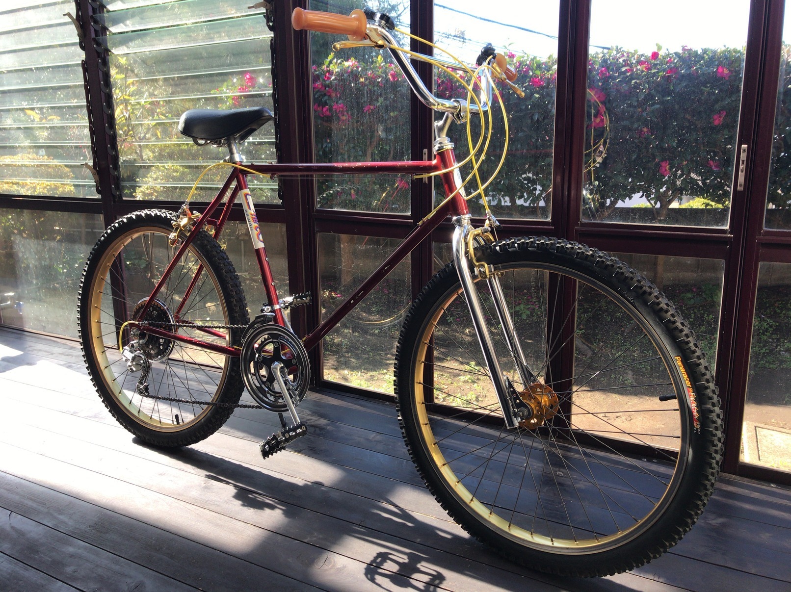 1982 schwinn sidewinder