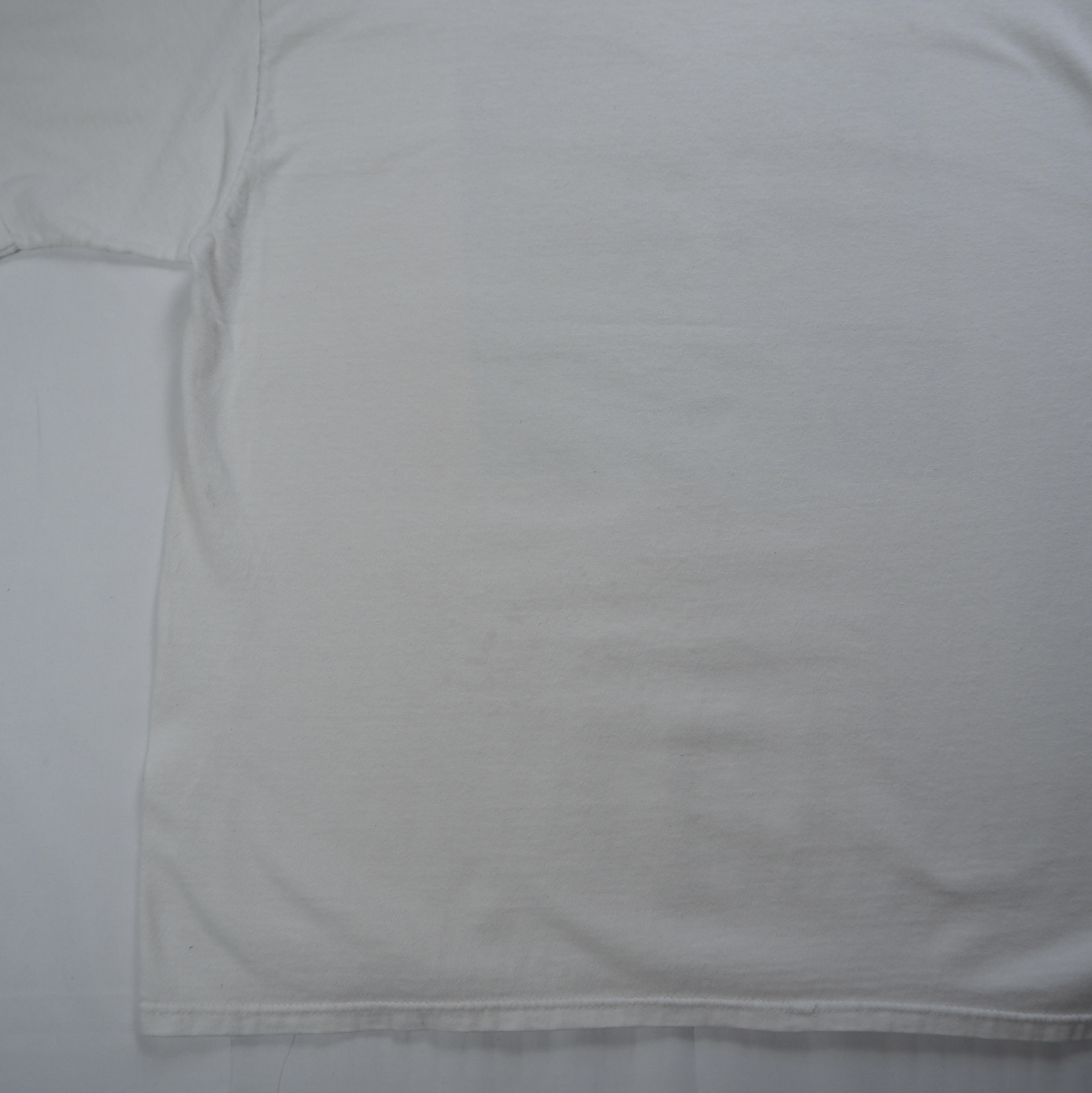 90’s Hanes サーベルタイガーTシャツ XL の画像 17