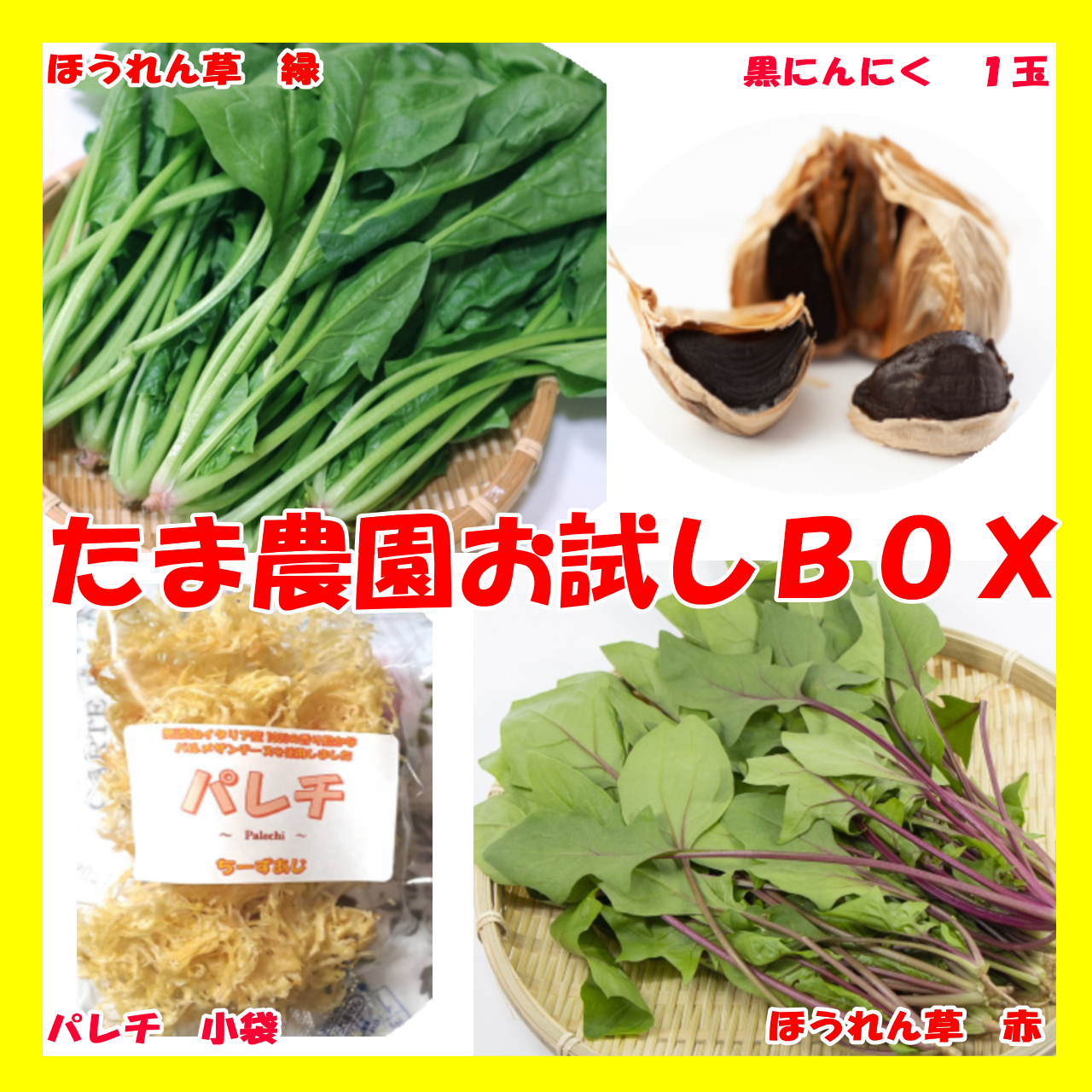 たま農園お試しbox ほうれん草 緑 赤 黒にんにく1玉 パレチ小袋 送料無料 たま農園 オンラインショップ たま農園お試しbox ほうれん草 緑 赤 黒にんにく1玉 パレチ小袋 送料無料 たま農園 オンラインショップ