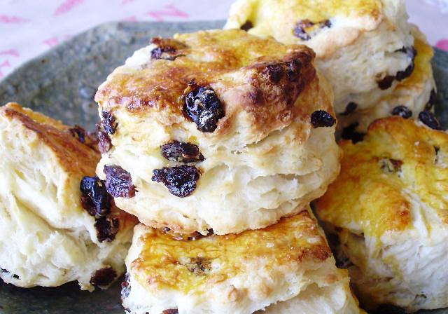 レーズンスコーン つくばジャムファクトリー 無添加ジャムとスコーンの通販