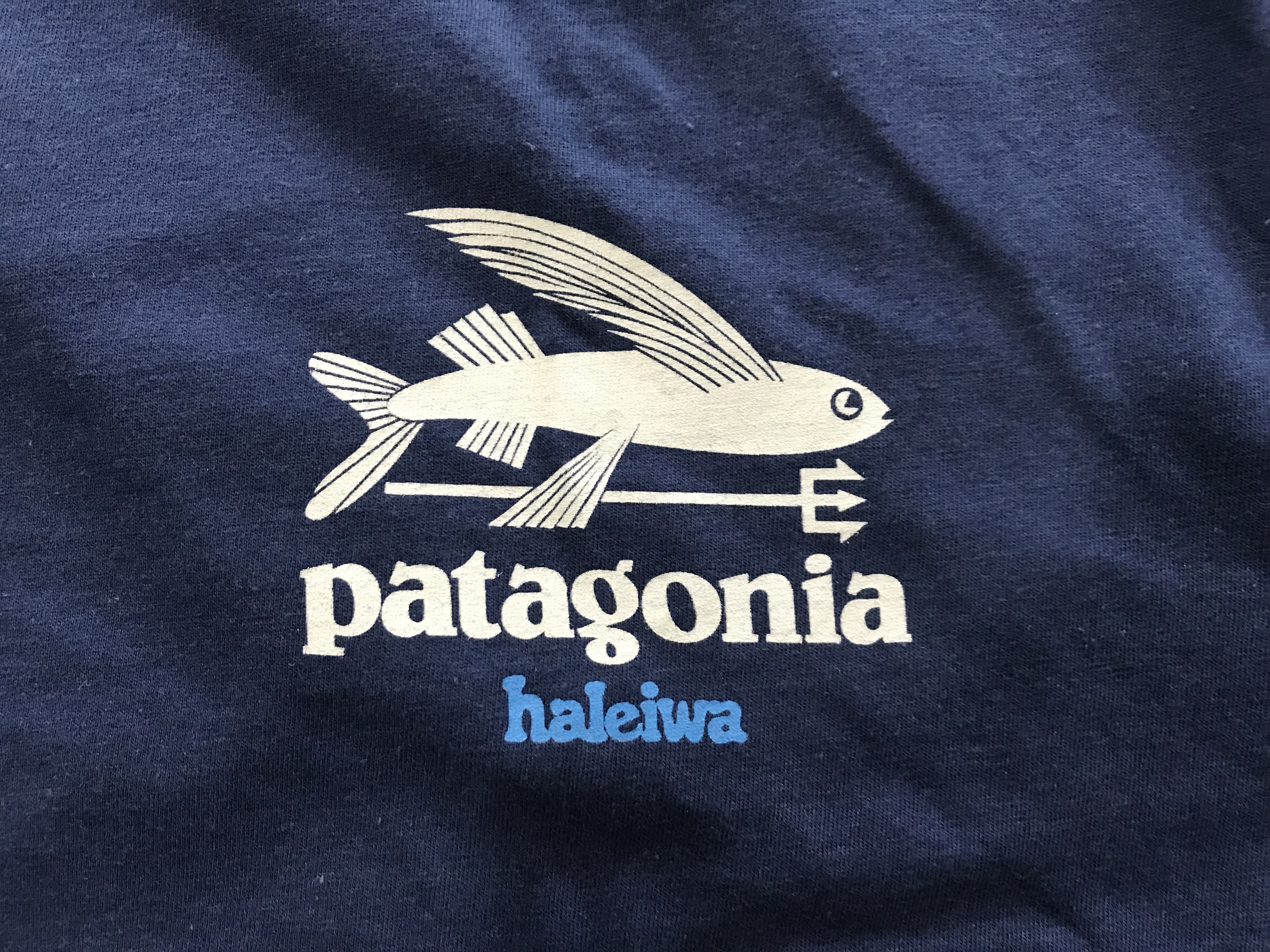 patagonia flying fish logo