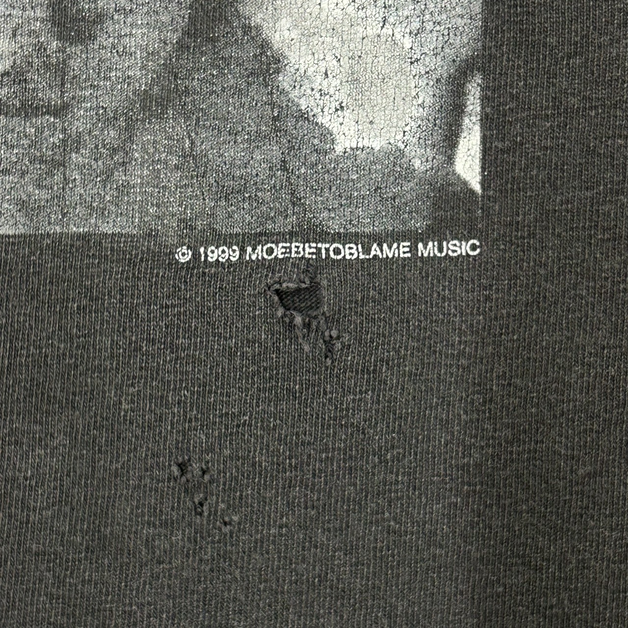 Red Hot Chili Peppers “Californication” Monochrome Band T-Shirt GILDAN L の画像 7