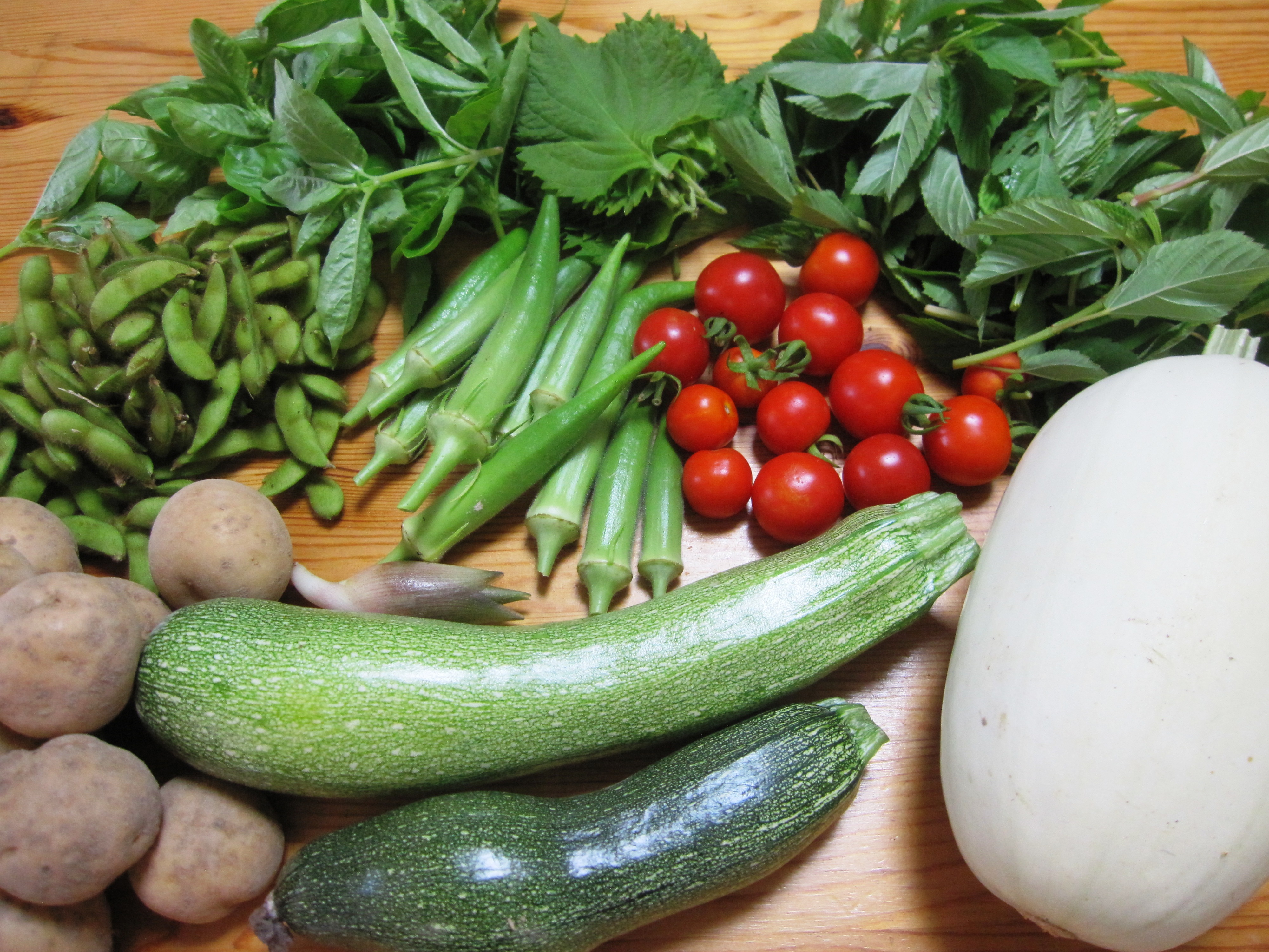 旬の固定種野菜box 6 9品程度 Kuwatafarm 旬の固定種野菜box 6 9品程度 Kuwatafarm