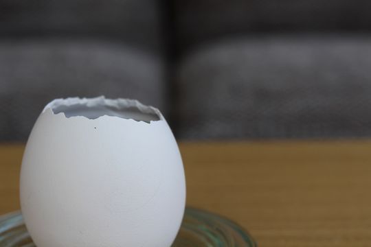 栽培キット ミニバラ Mag Online Store 栽培キット ミニバラ Mag Online Store