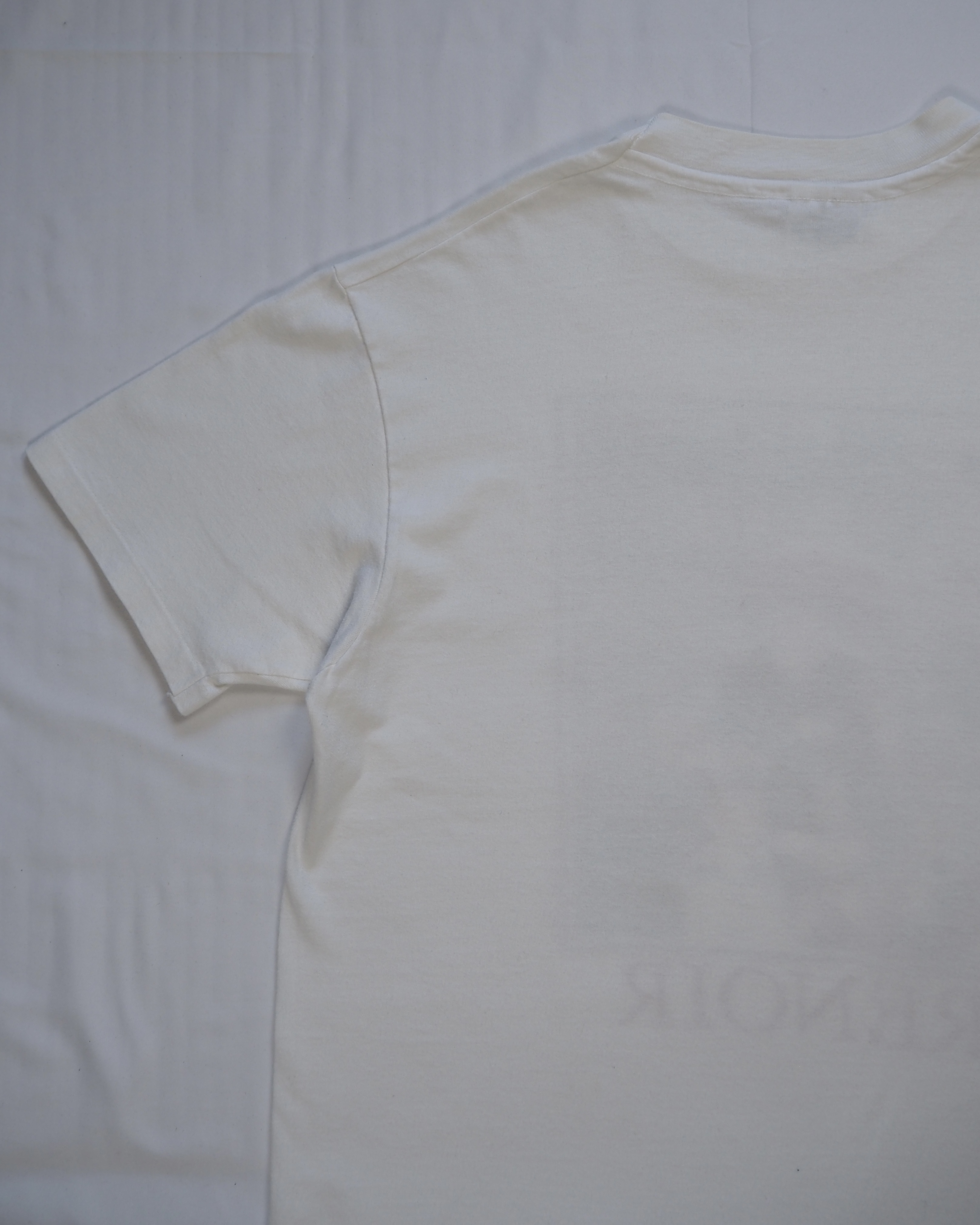 90’s Hanes アートTシャツ ルノワール 「2人の姉妹」 の画像 12