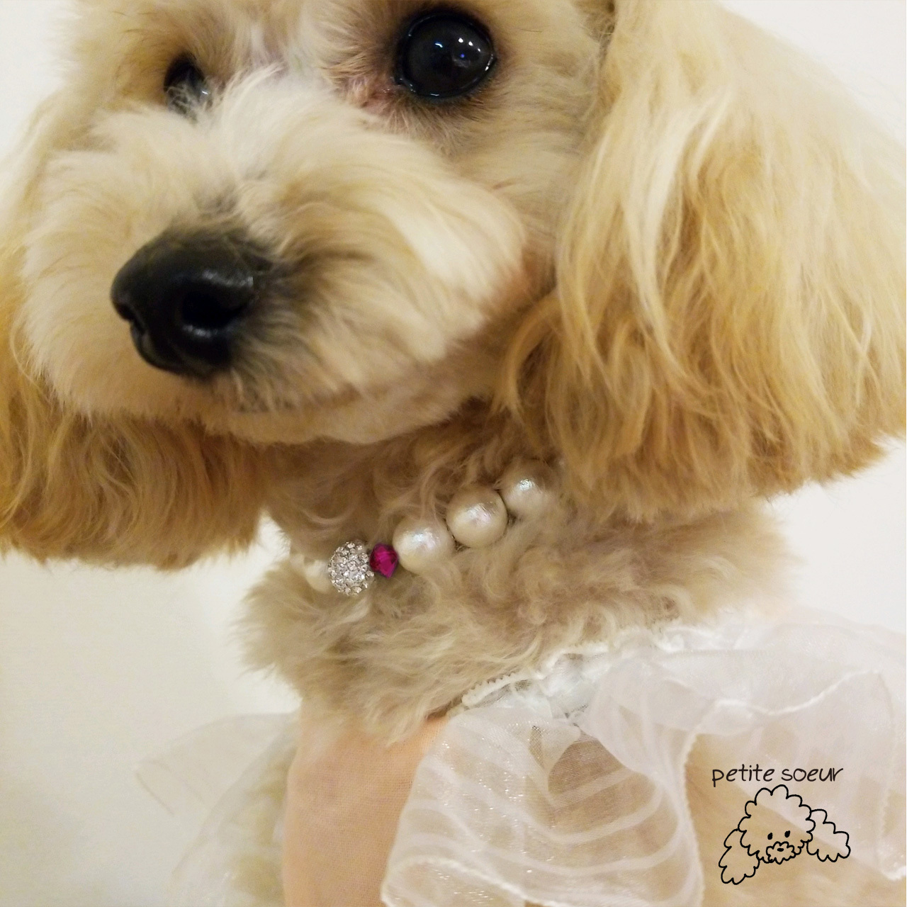 犬用コットンパールネックレス 7月july Ruby Petite Soeur 犬用コットンパールネックレス 7月july Ruby Petite Soeur