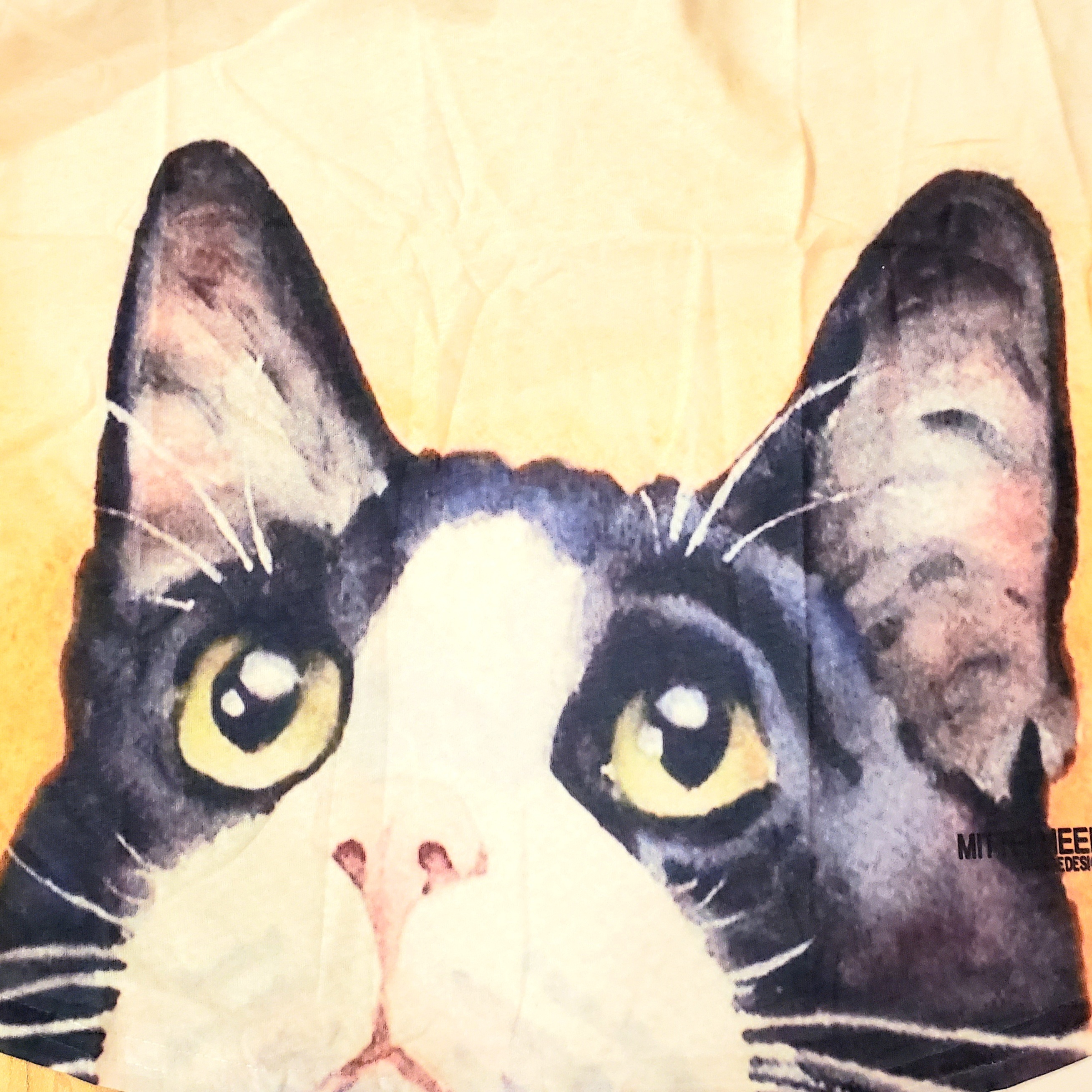 拾う 遠え 弁護 猫 白黒 ハチワレ Ctshma11 Com 拾う 遠え 弁護 猫 白黒 ハチワレ Ctshma11 Com