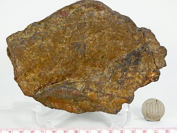 【 隕石 】石質隕石 Dhofar1722 1097g Lコンドライト 登録済 博物館級関連商品