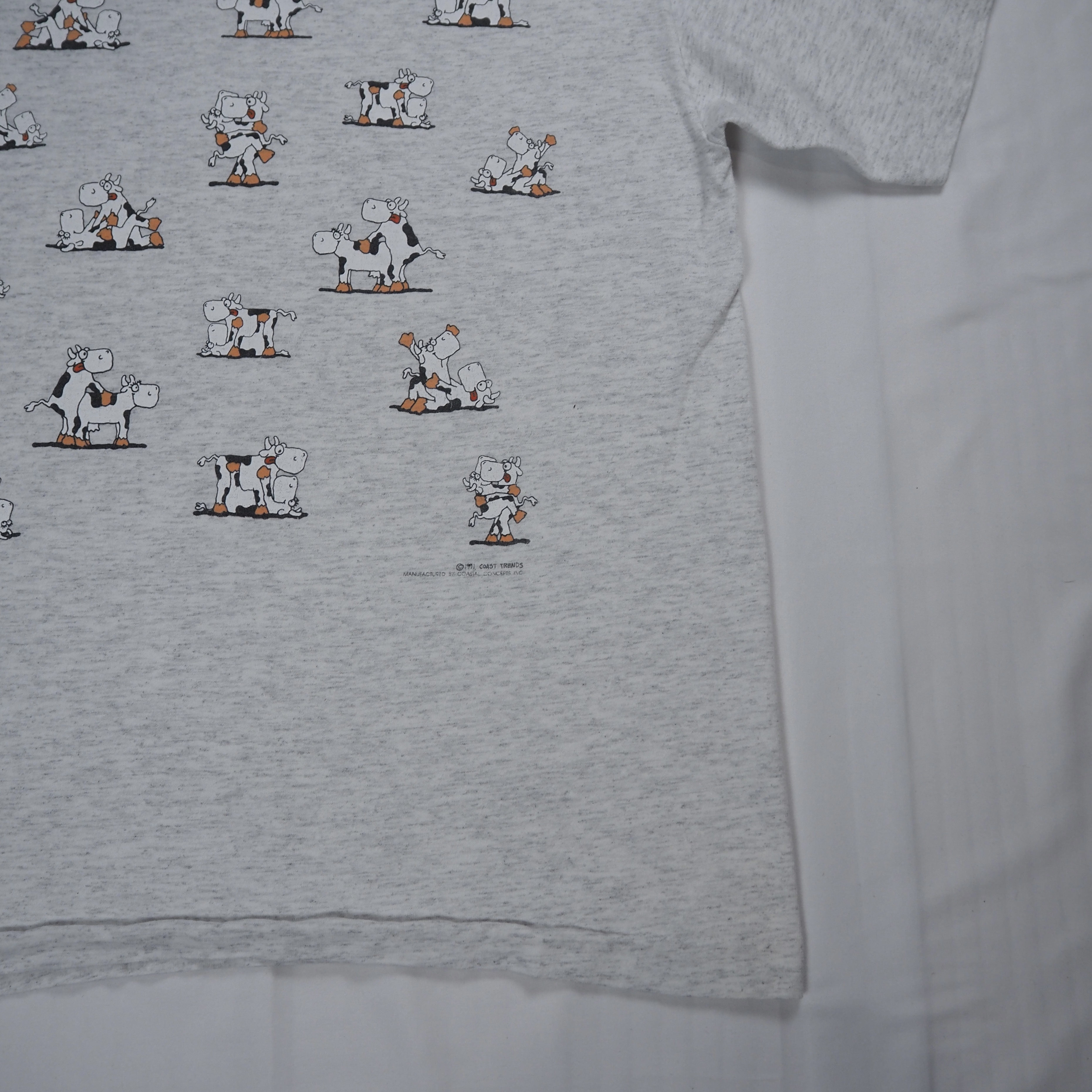 90’s SOF TEE 四十八手Tシャツ ホルスタイン Lサイズ の画像 17