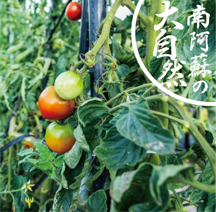 阿蘇の大自然