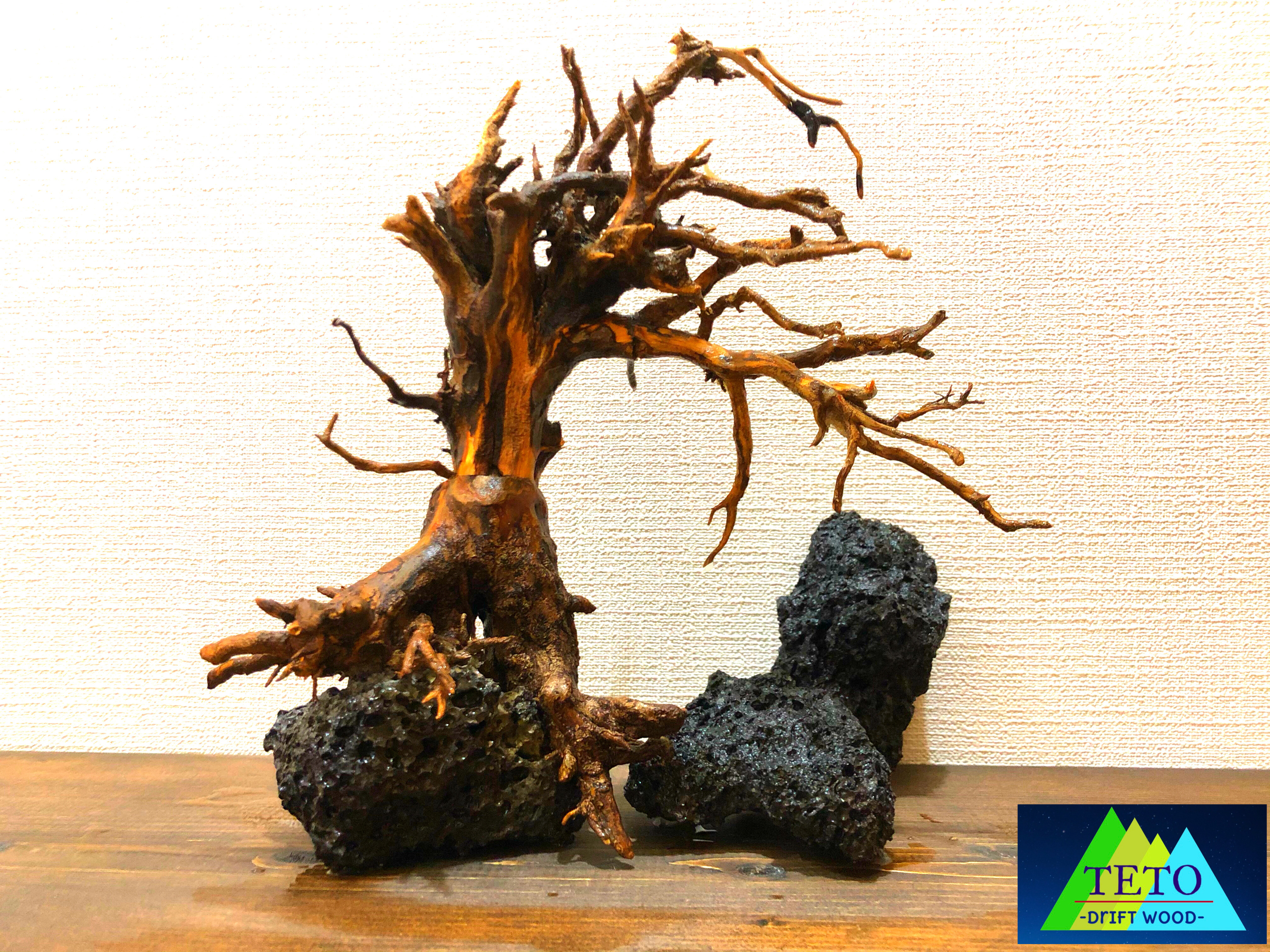 流木 A02 溶岩石セット Teto Drift Wood