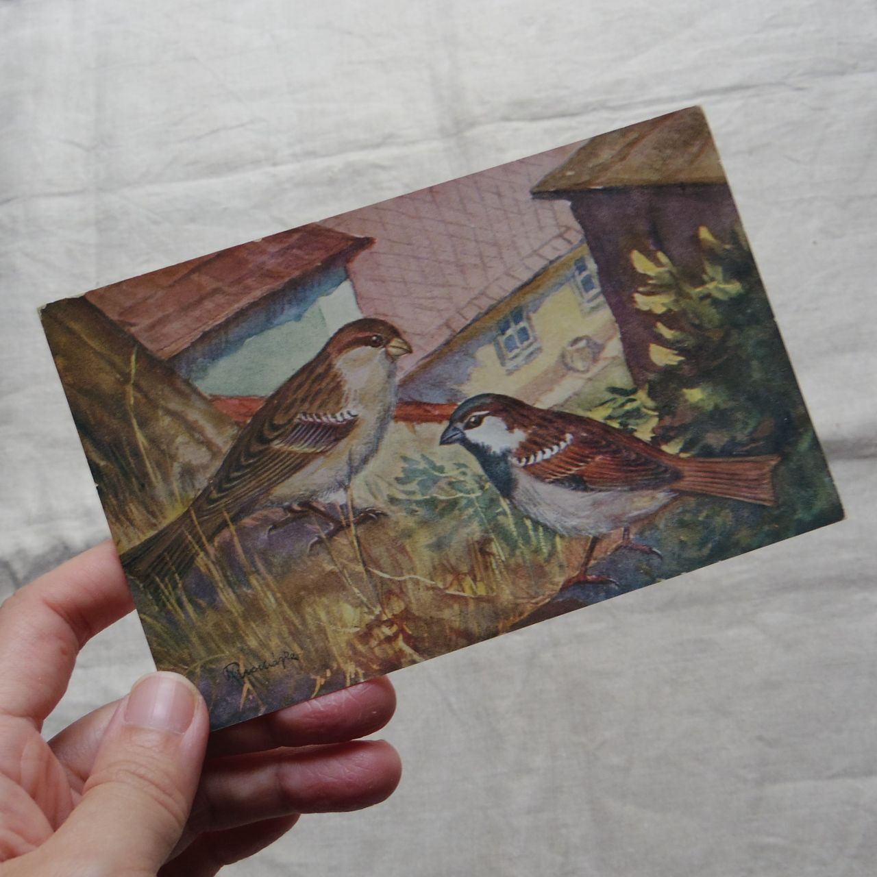 エア蚤の市 鳥の絵のポストカード Atelier Oneflower エア蚤の市 鳥の絵のポストカード Atelier Oneflower