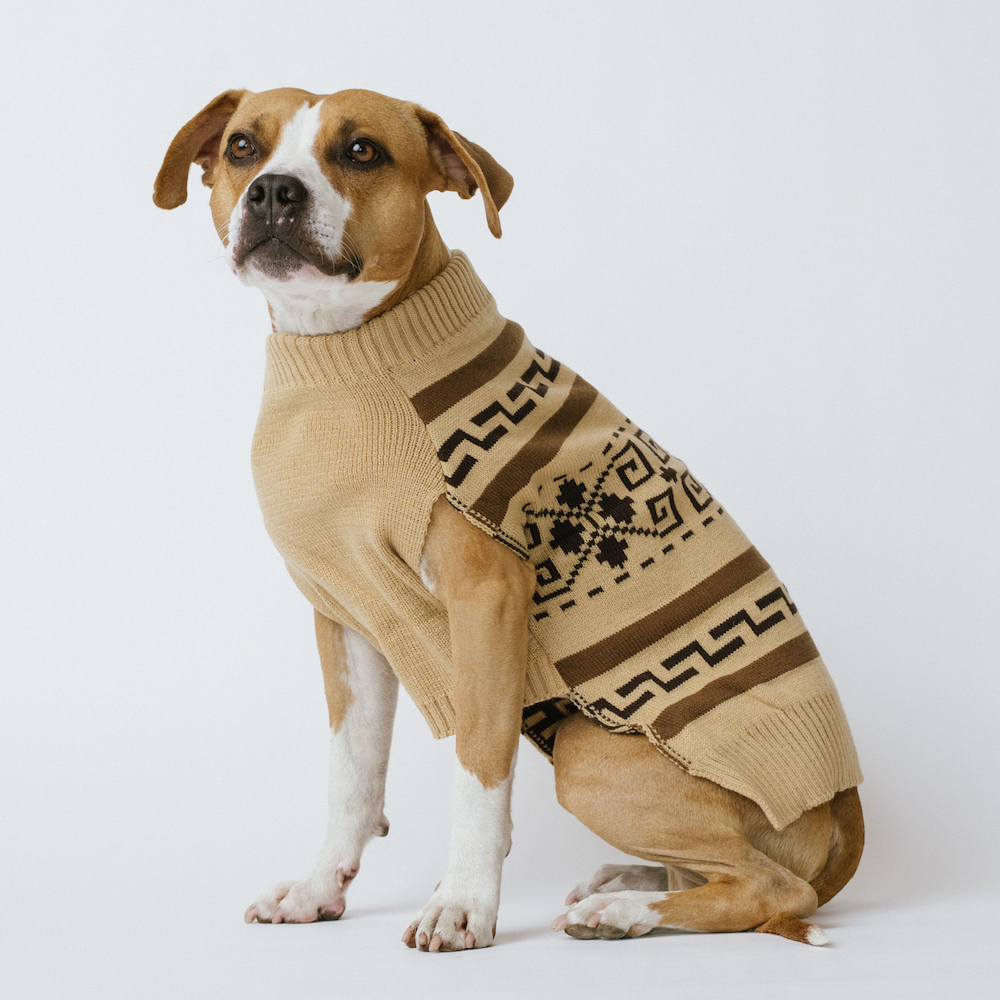 PENDLETON DOG SWEATER【WESTERLEY, L〜XLサイズ】 DOGGY BRO