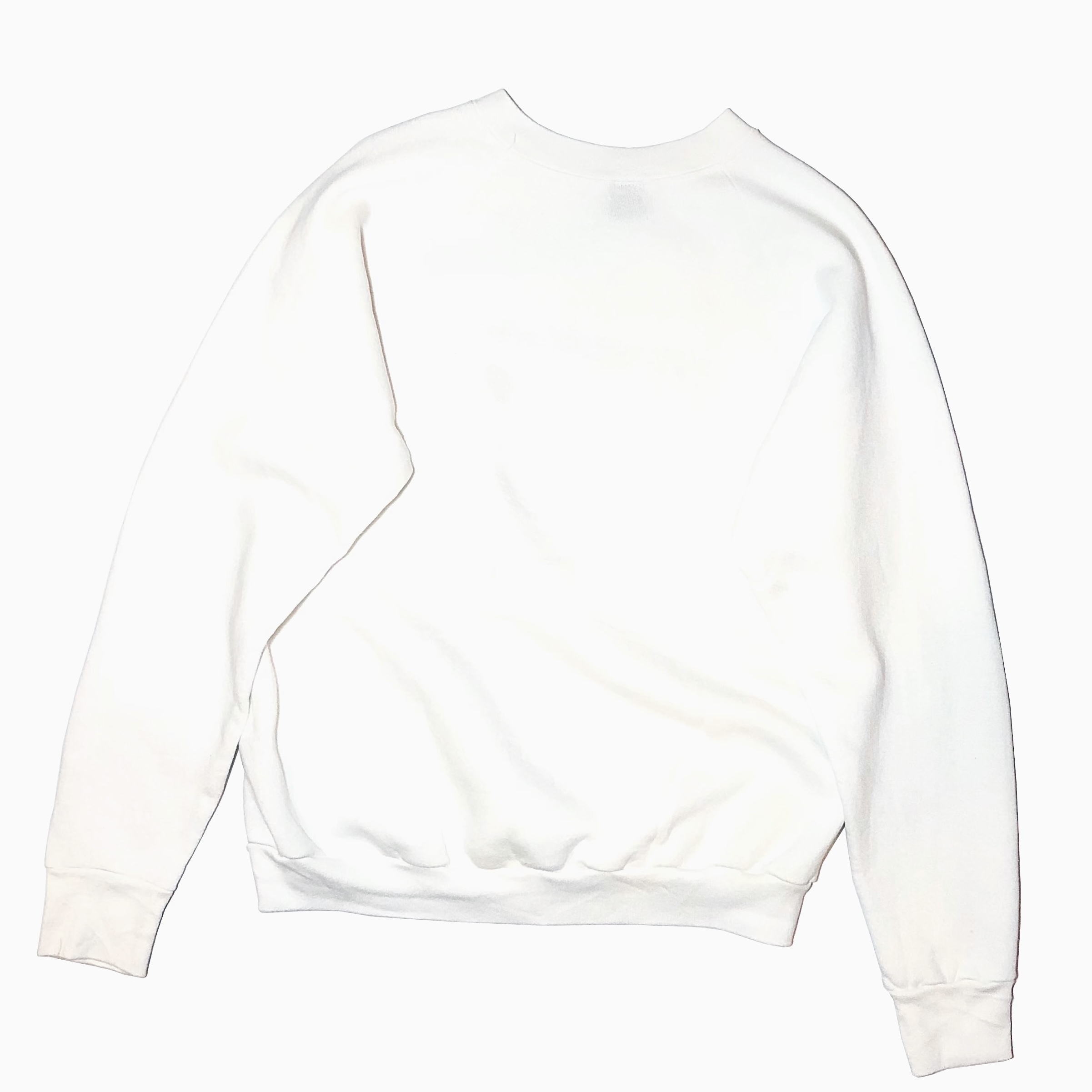 Vintage 90's【SCREEN STARS】"THE MINNEAPPLE" Sweat の画像 2