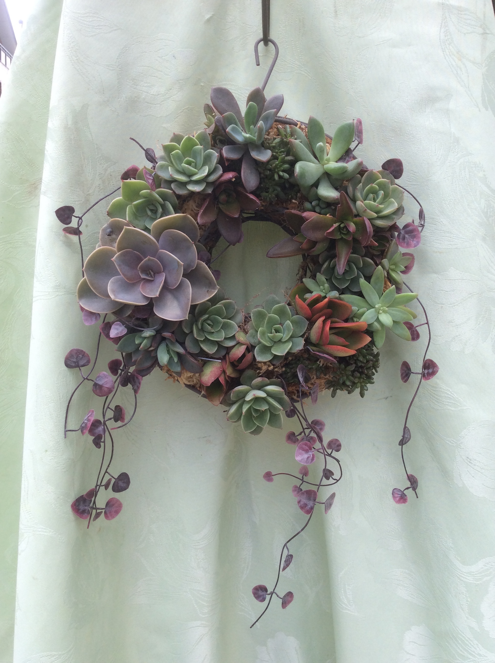 多肉植物のリース Flower Shop 花てまり 多肉植物のリース Flower Shop 花てまり