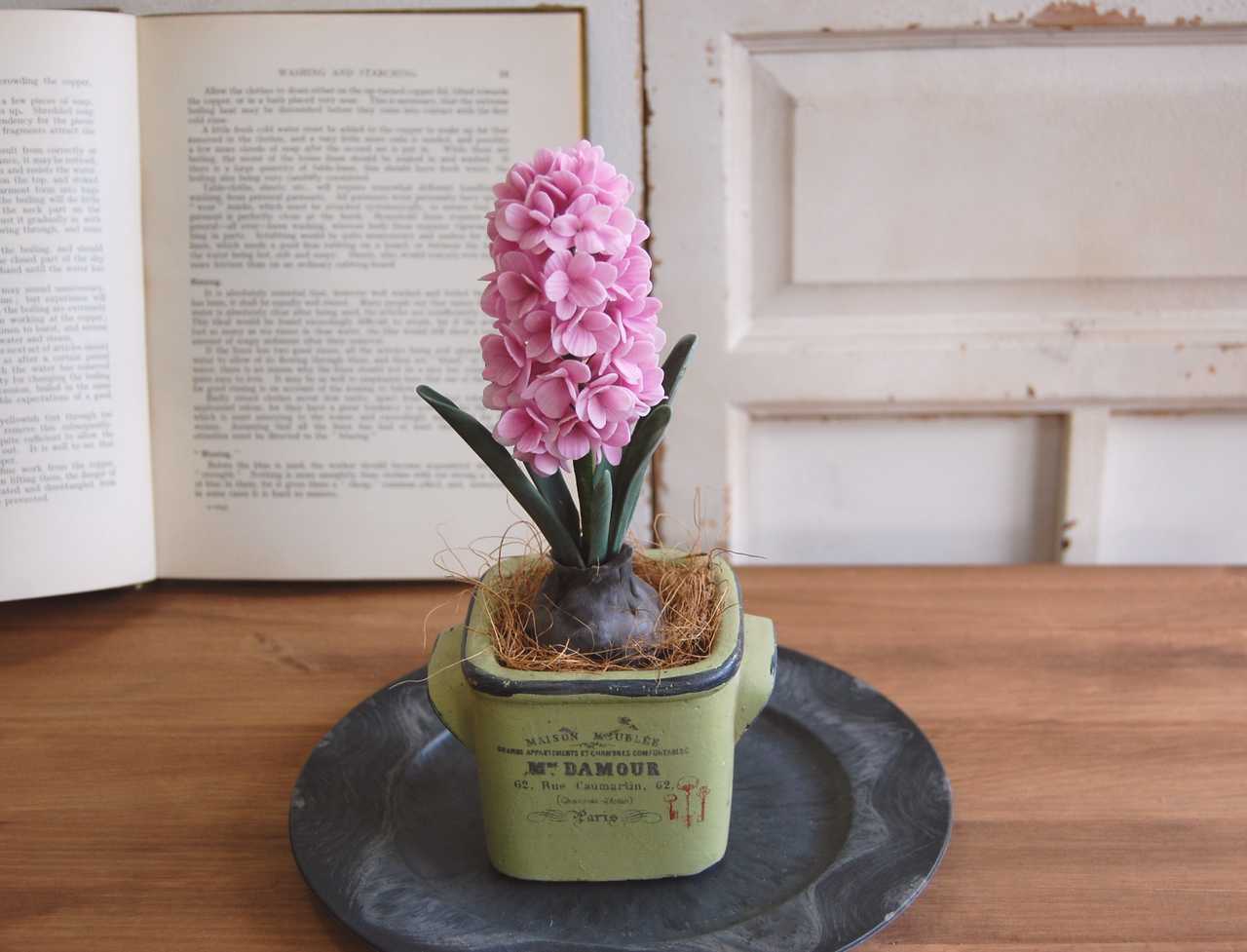 枯れないヒヤシンス 鉢植え ピンク アンティーク調キューブポット H431 Oldfantasy 枯れないヒヤシンス 鉢植え ピンク アンティーク調キューブポット H431 Oldfantasy