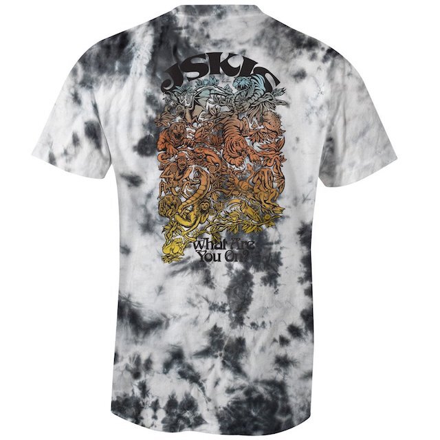 新入荷 J Skis ノクターナル デイドリーム Tシャツ スキーバム商会