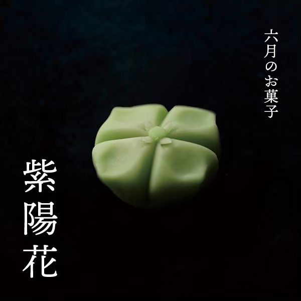 6月の上生菓子 紫陽花6個セット Itwokashi いとをかし クリーム大福 通販 お取り寄せショップ 6月の上生菓子 紫陽花6個セット Itwokashi いとをかし クリーム大福 通販 お取り寄せショップ