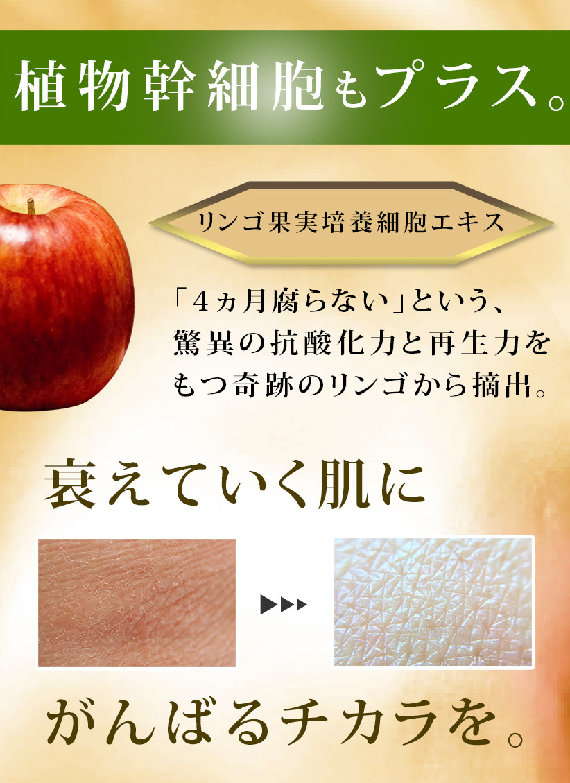 ヒト幹細胞フェイスマスク 7枚入 Educe Beaute A Piece Of Luxury ヒト幹細胞フェイスマスク 7枚入 Educe Beaute A Piece Of Luxury