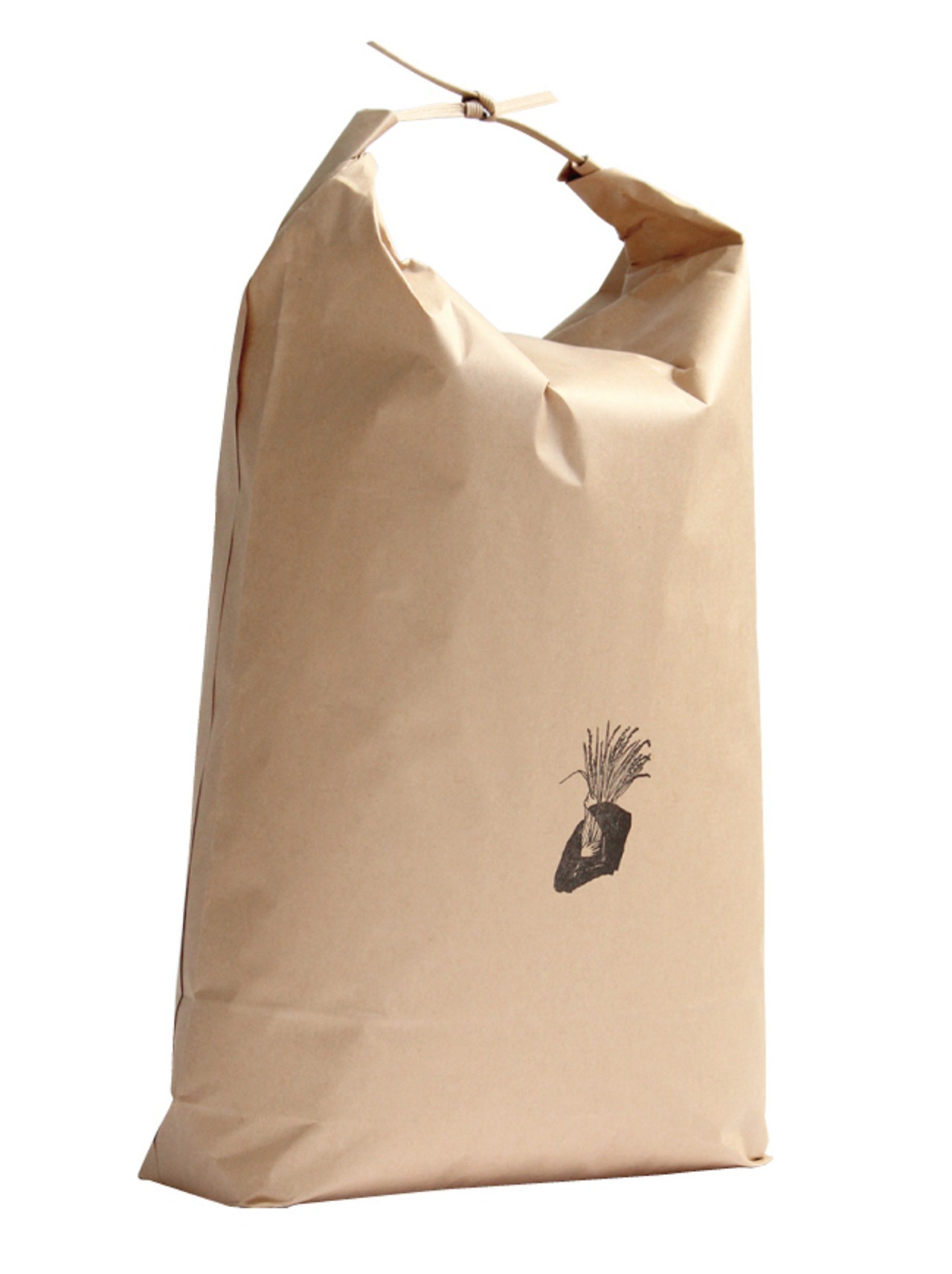 令和7年産 コシヒカリ 10kg　