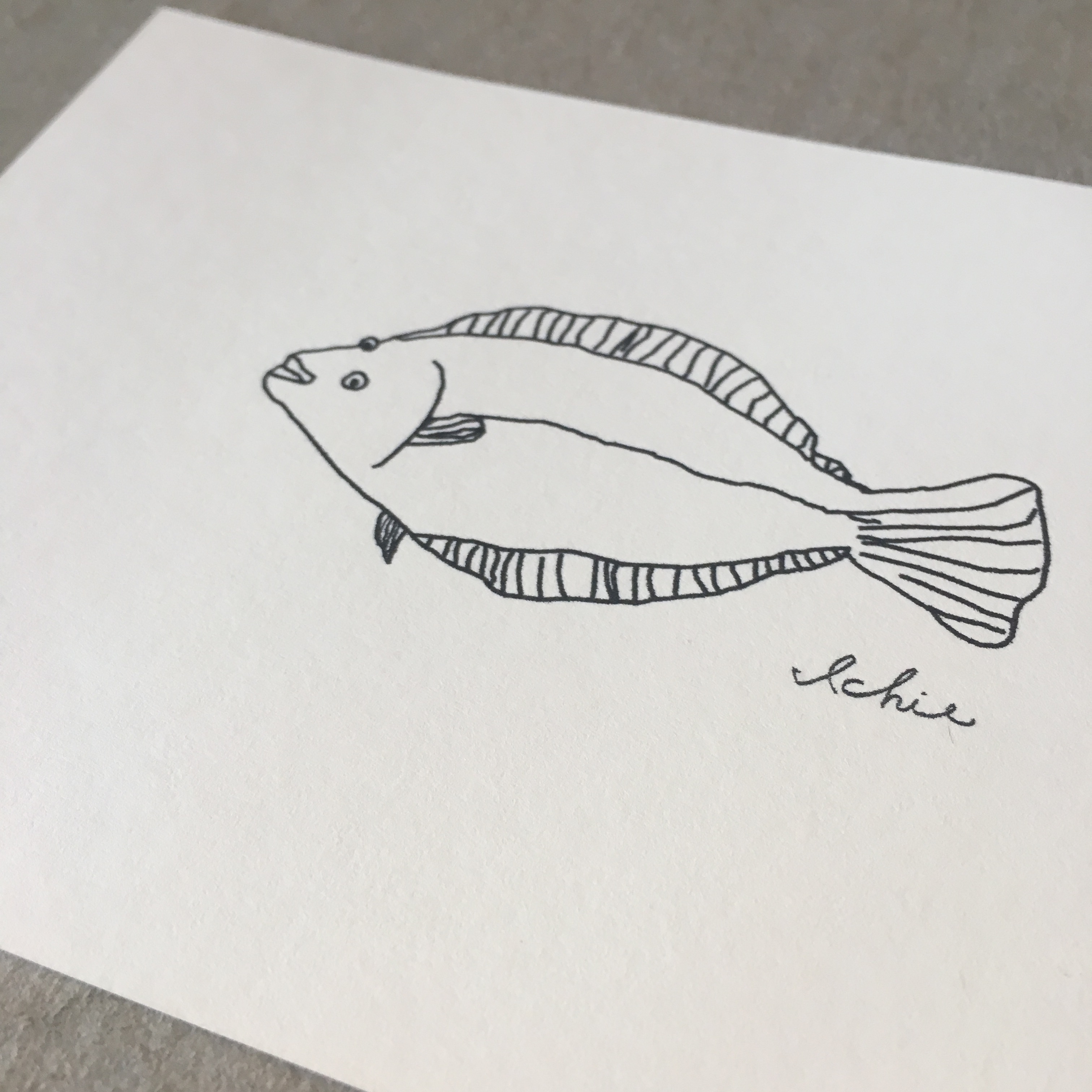 ポストカード ヒラメ Ichie いちえ 身につけるもの 食べるもの 大切な誰かに贈るもの ポストカード ヒラメ Ichie いちえ 身につけるもの 食べるもの 大切な誰かに贈るもの