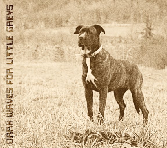 deadrow77 - Dark Waves for Little Greys 2CD - 画像1