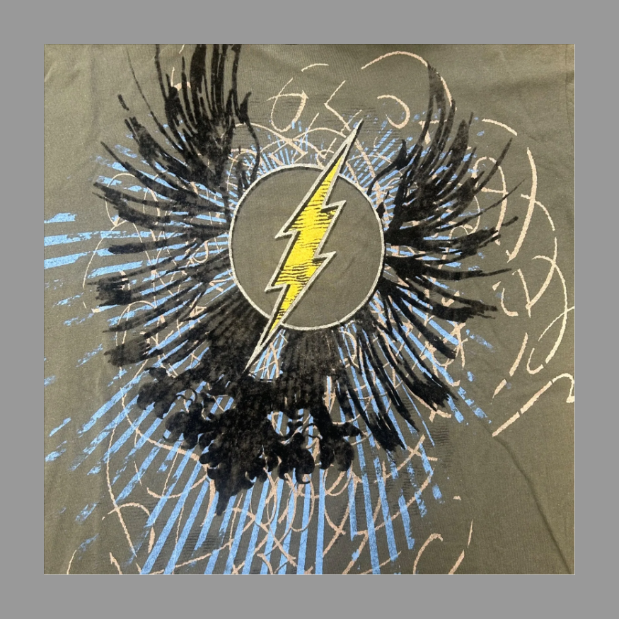 Y2K The Flash DC Comics T 2XL の画像 4