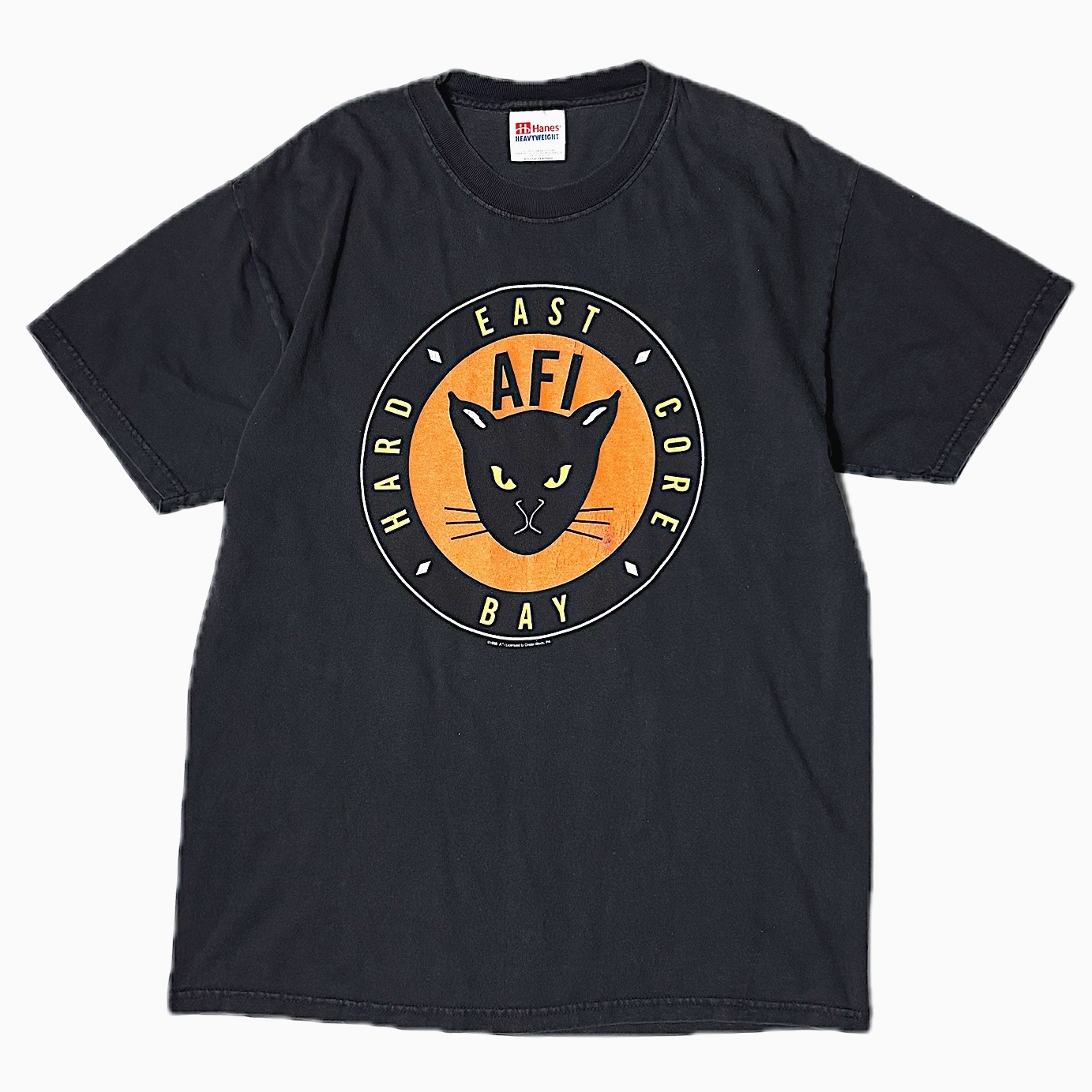 Vintage 90's【Hanes】"AFI" T-shirt