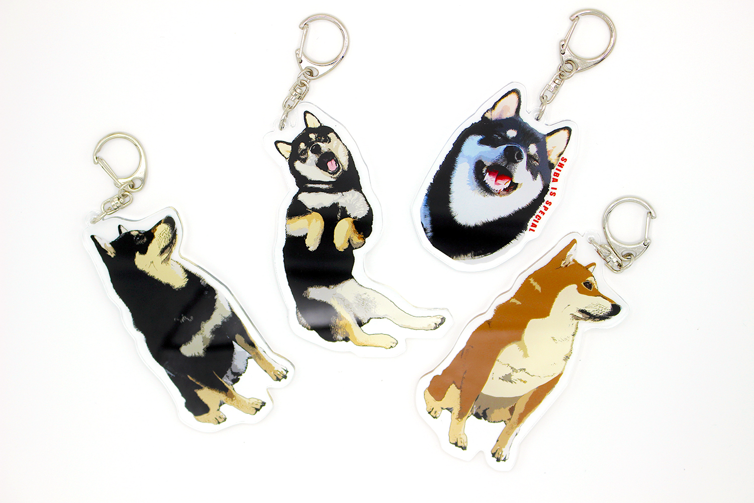 かわいい リアルでアートな柴犬アクリルキーホルダー 柴犬グッズ専門店 猫と柴犬 チワワ柄の食器 雑貨の店 銀くま かわいい リアルでアートな柴犬アクリルキーホルダー 柴犬グッズ専門店 猫と柴犬 チワワ柄の食器 雑貨の店 銀くま