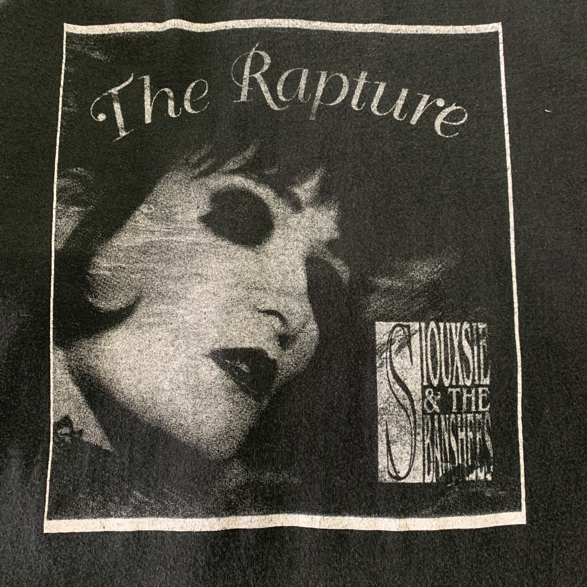 90s Siouxsie And The Banshees L S T Shirt What Z Up