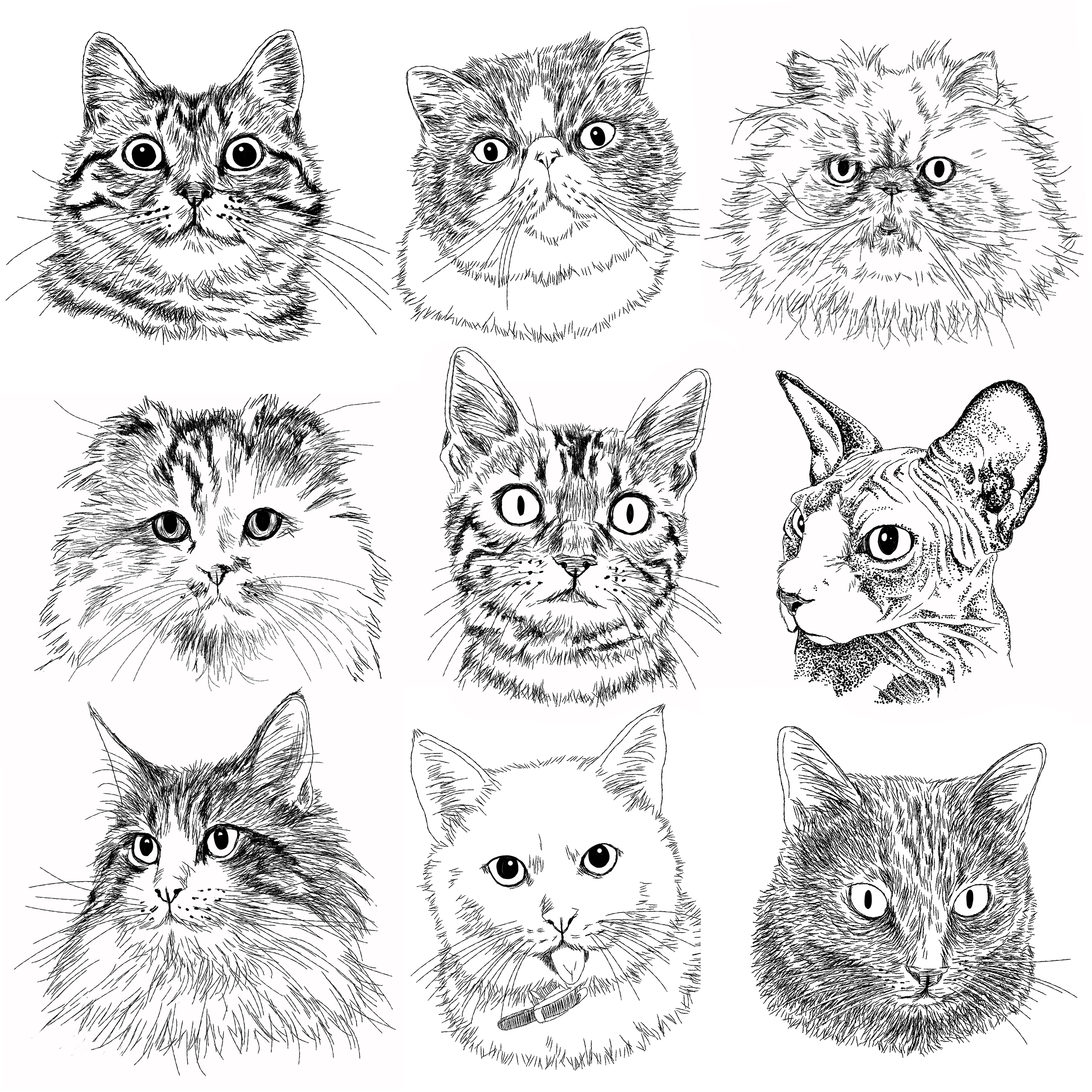 無料ダウンロード 猫 手書き イラスト 最高の画像壁紙日本ihd