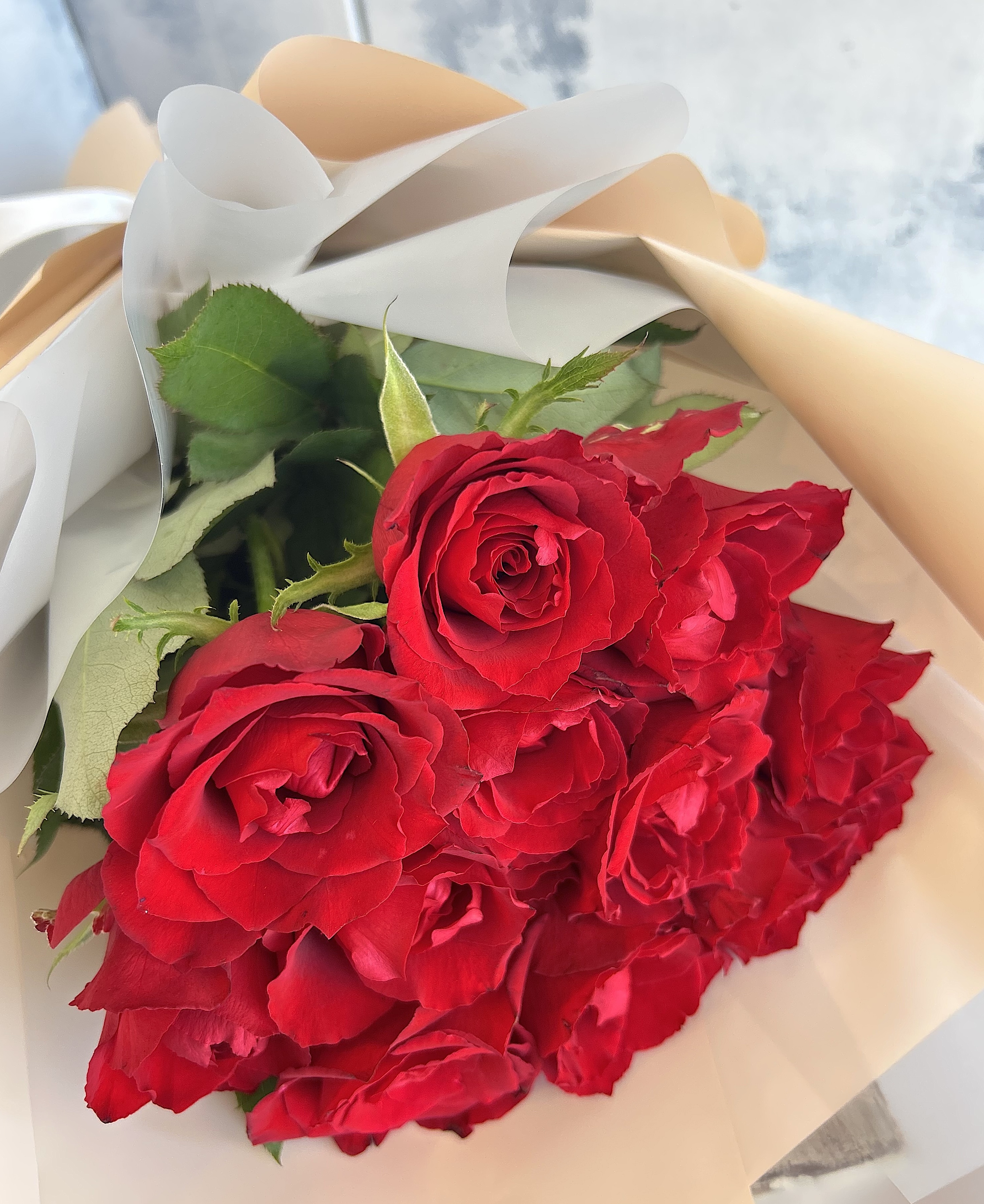 プロポーズの赤バラ・12本の花束（生花）