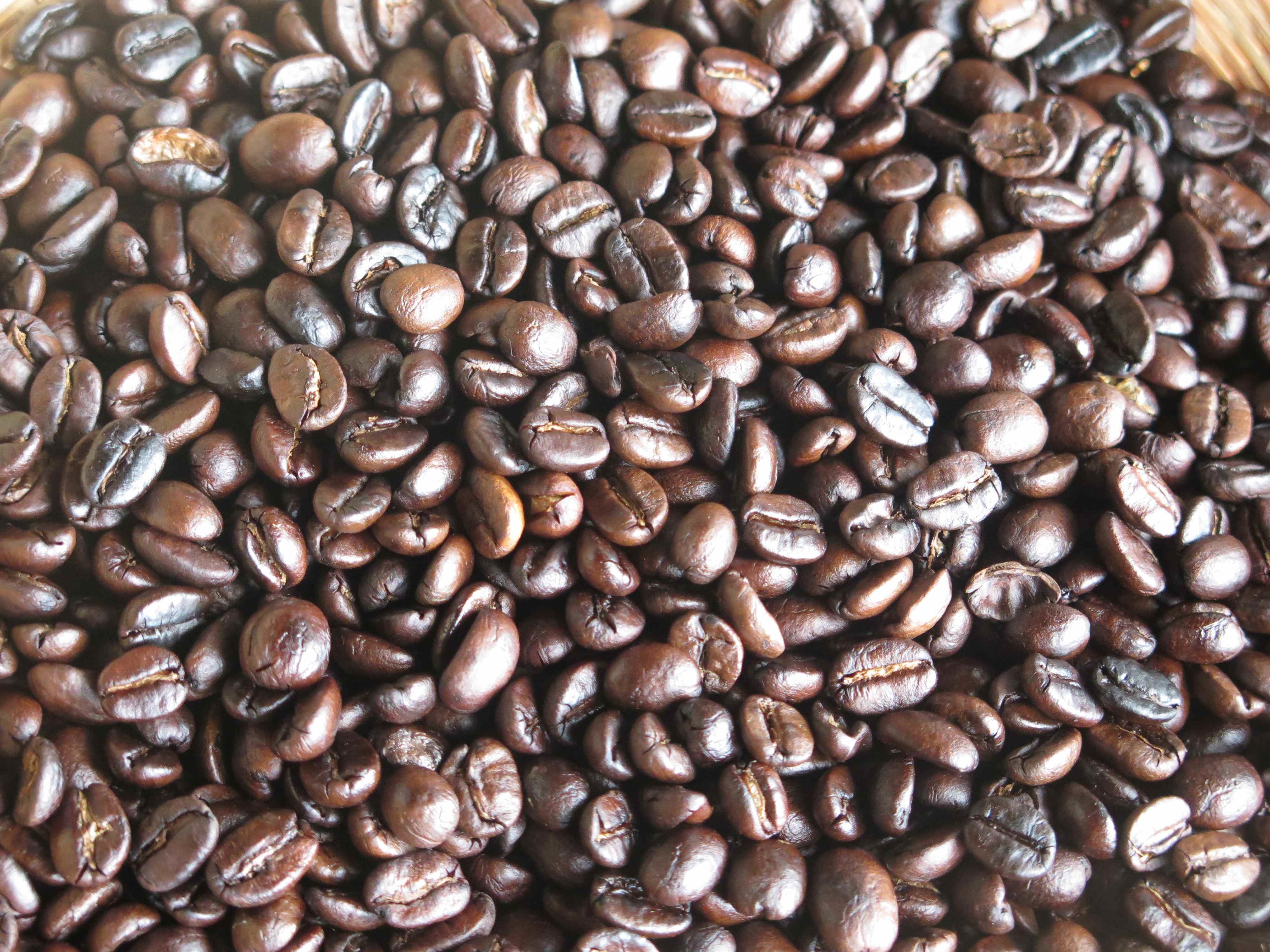 土鍋焙煎ニドムブレンドコーヒー豆 200g - 画像4