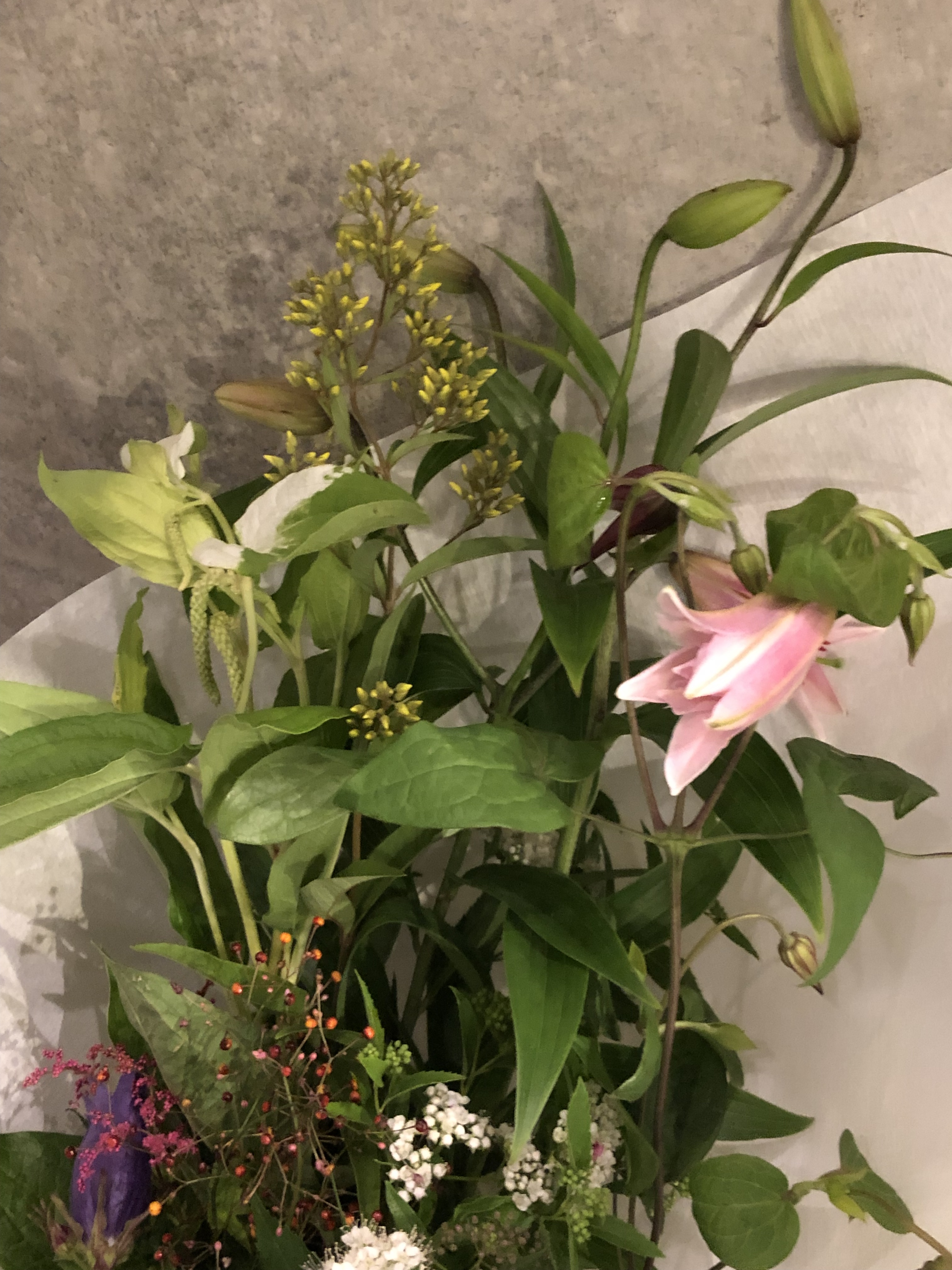 京の和花便り・ 風