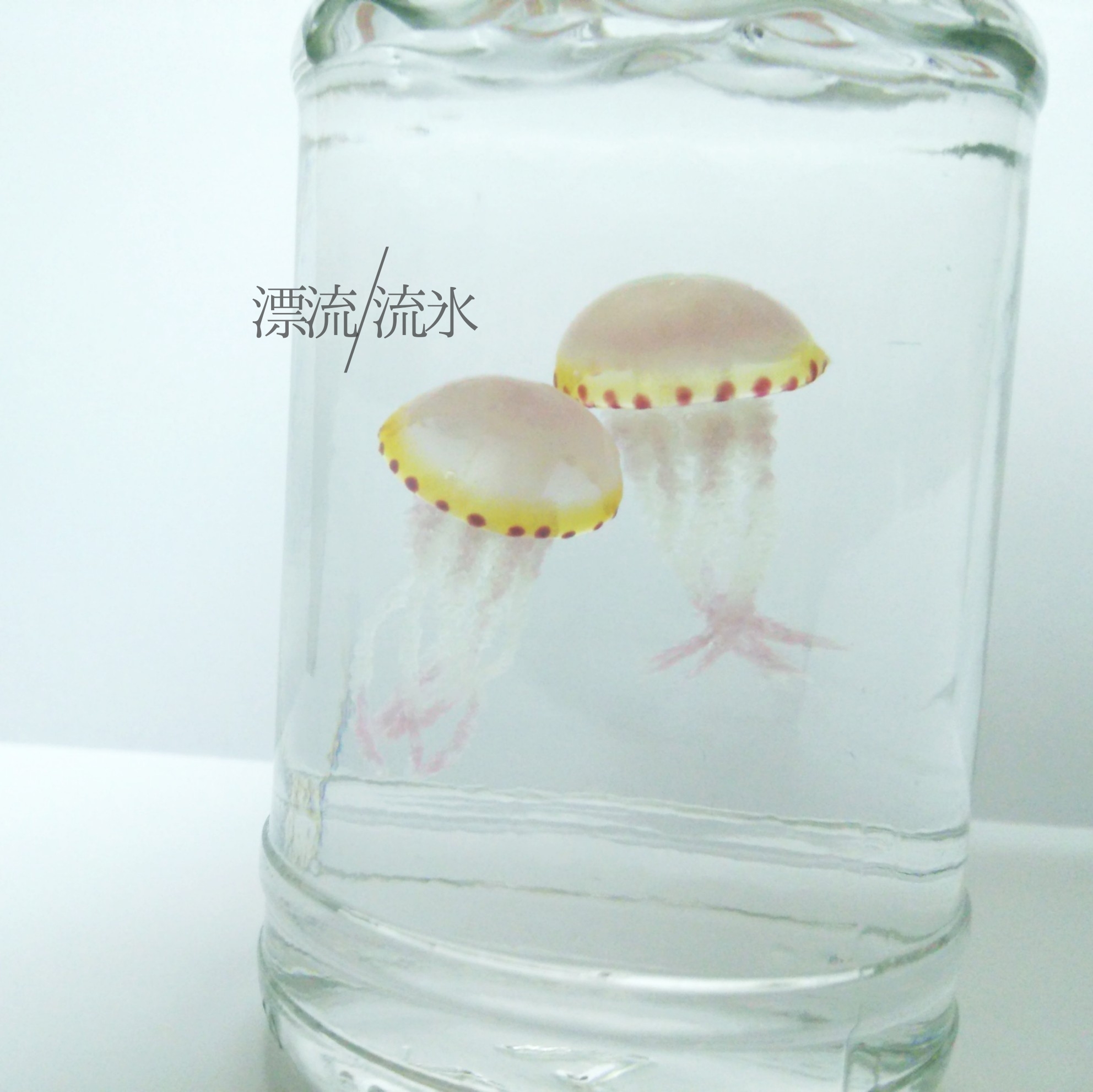 Fake Jellyfish ムラサキクラゲ 漂流 流氷