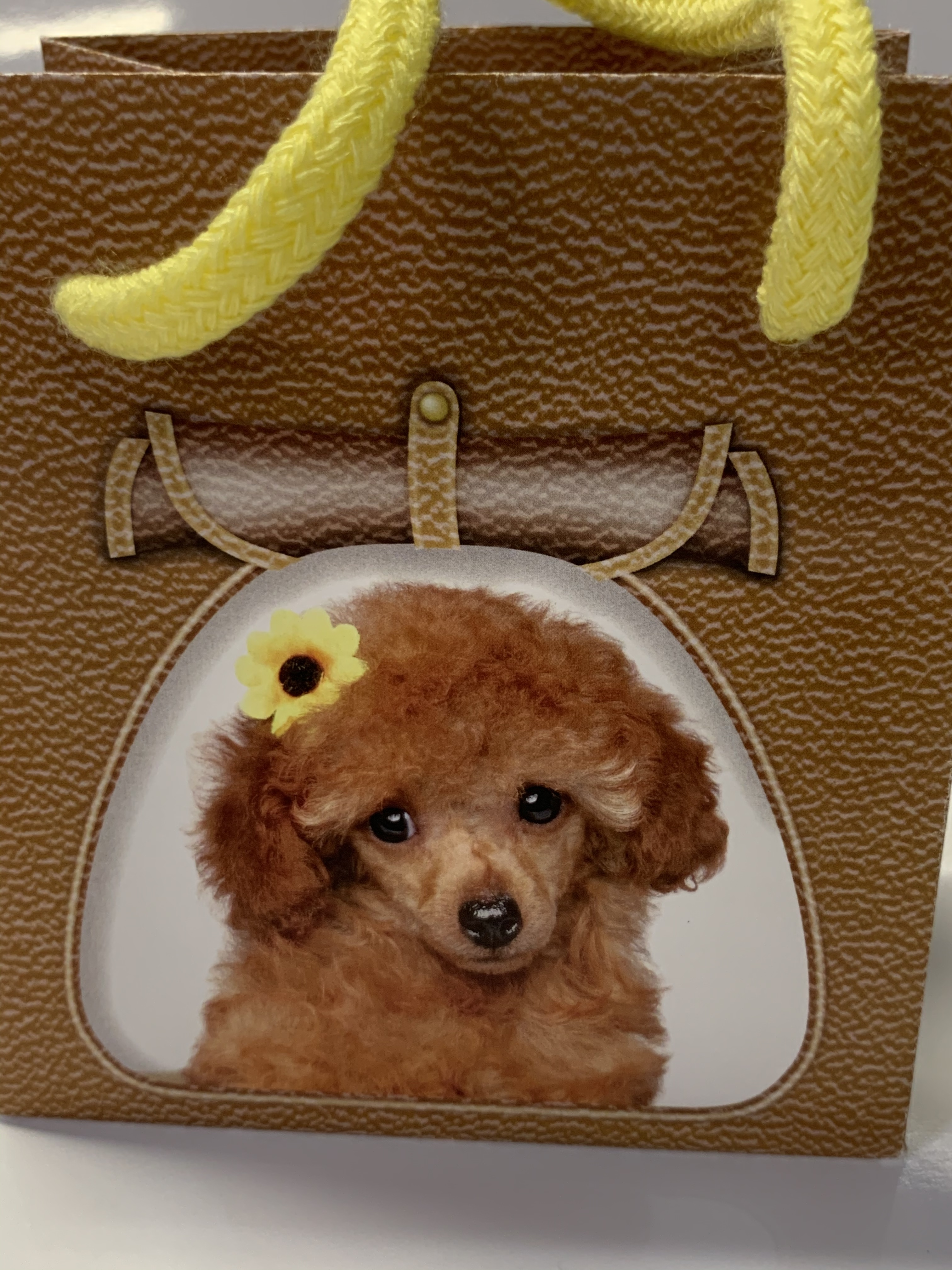 紙袋 ギフト用プチバッグ プードル 3s 3枚セット プリントグッズ はとぽっぽ