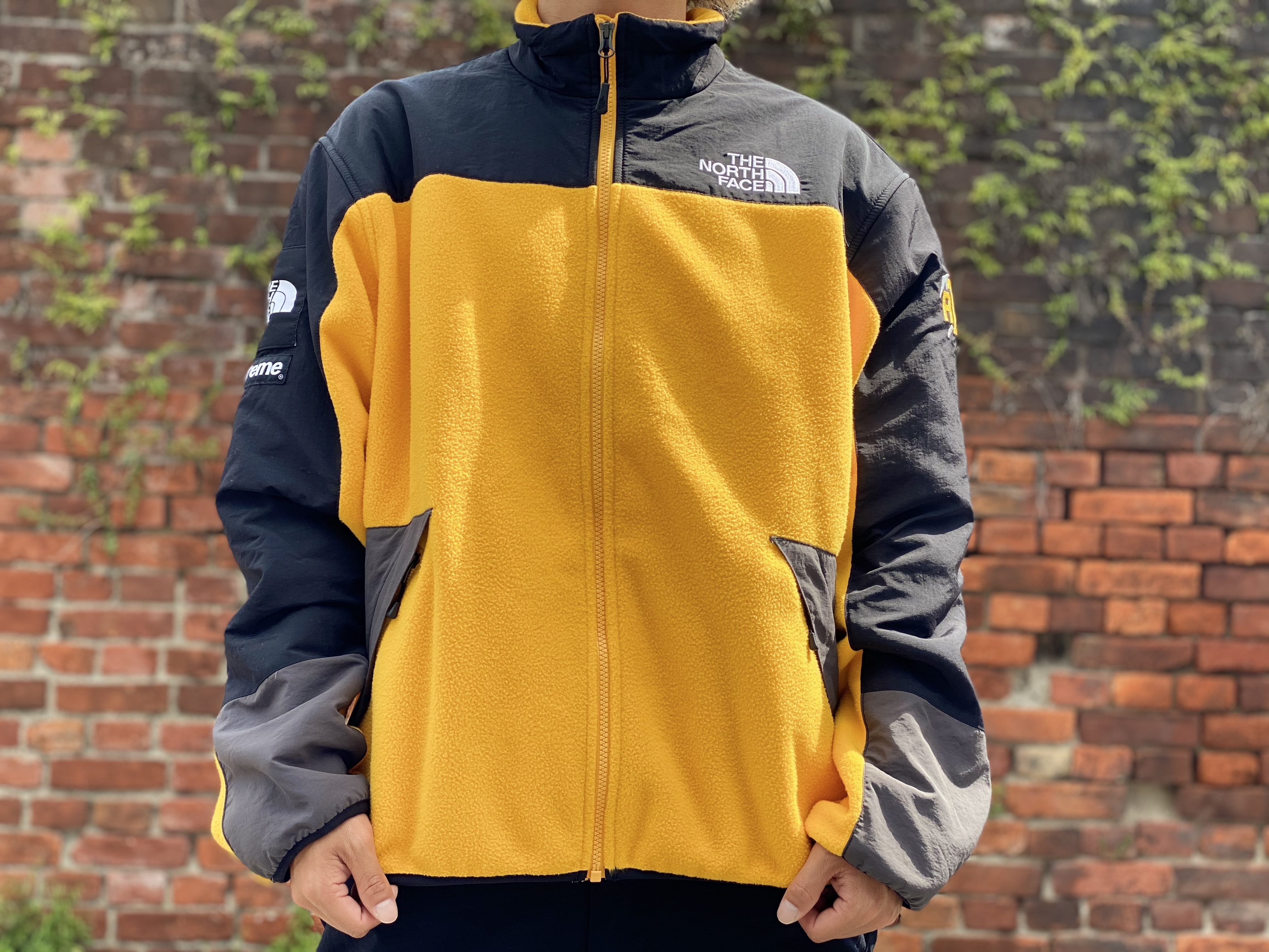 M THE NORTH FACE RTG Fleece Jacket