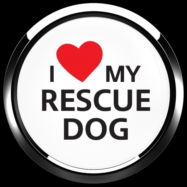ゴーバッジ(ドーム)(CD1077 - I LOVE RESCUE DOG) - 画像3