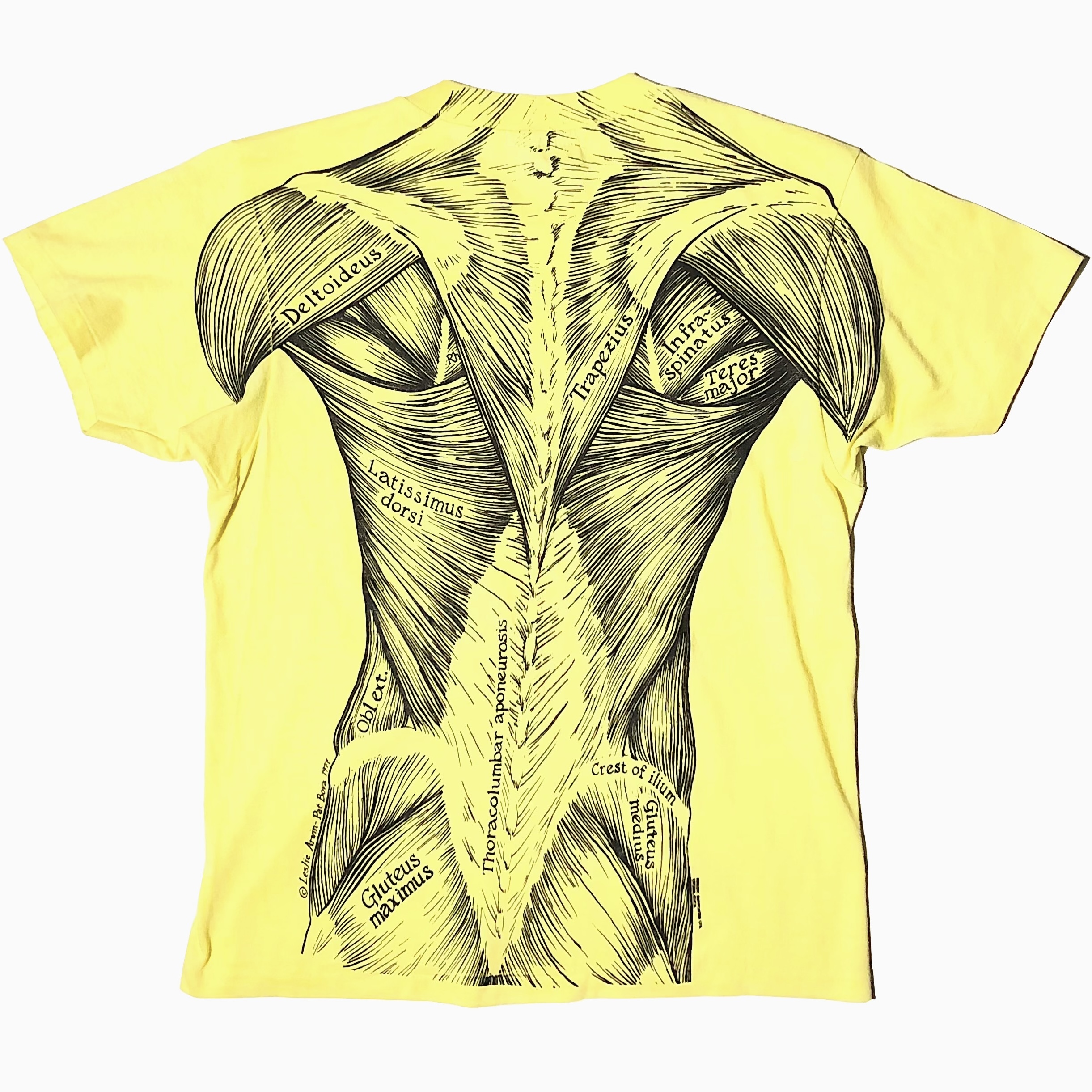 Vintage 70's【Hanes】"Muscle Anatomy" T-shirt の画像 2