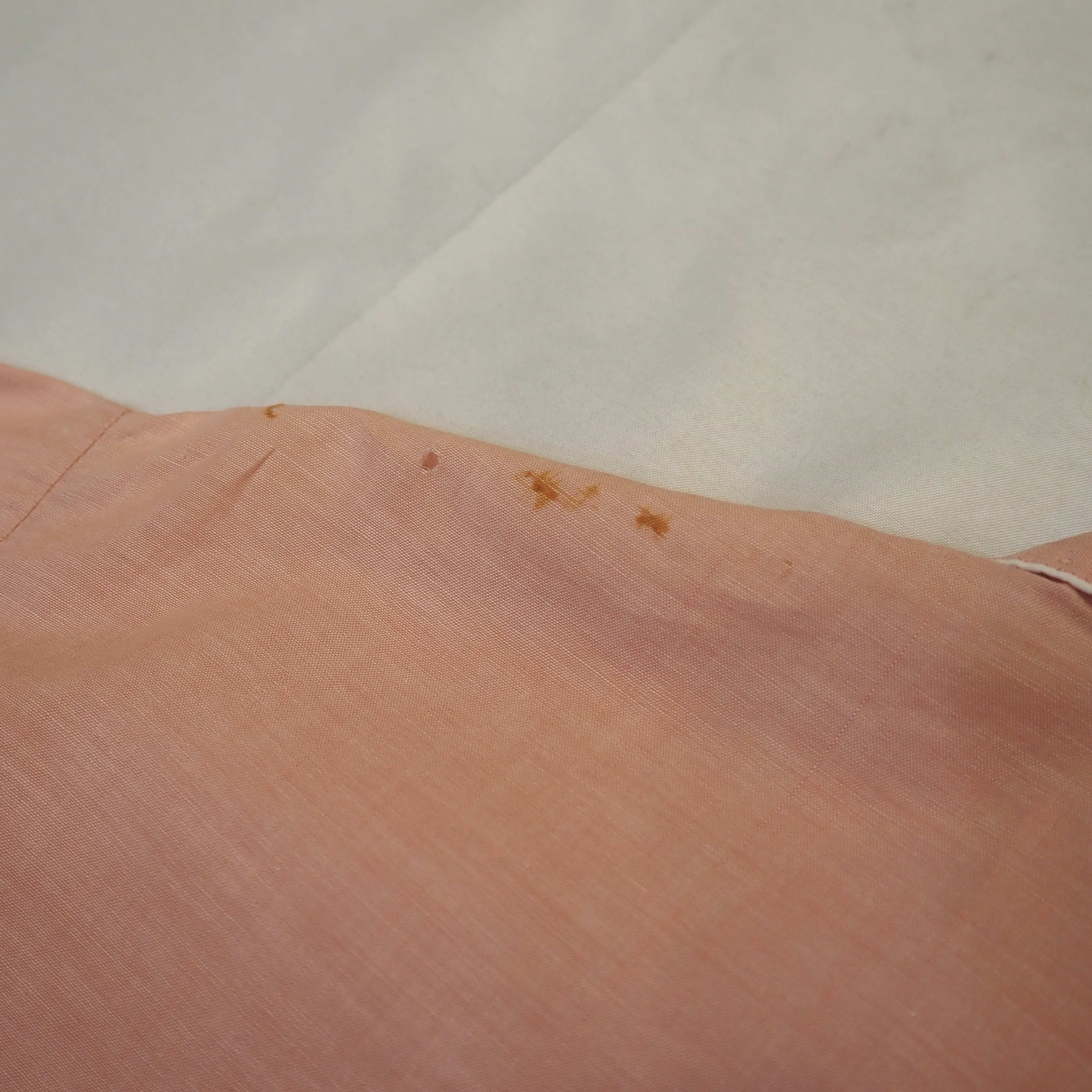 50’s コットンシャツ Pink!!! の画像 16
