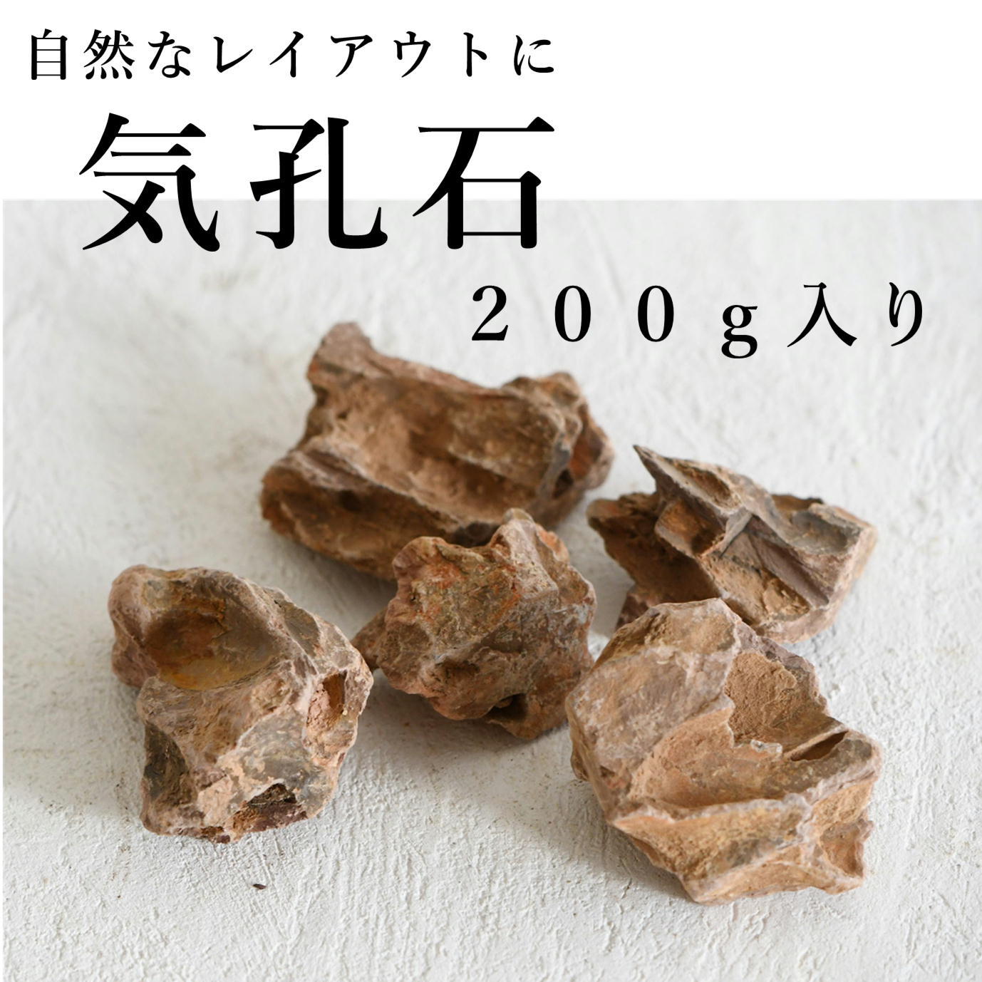 気孔石 0ｇ入り レイアウト用 着生用 苔テラリウム専門ショップ 道草michikusa