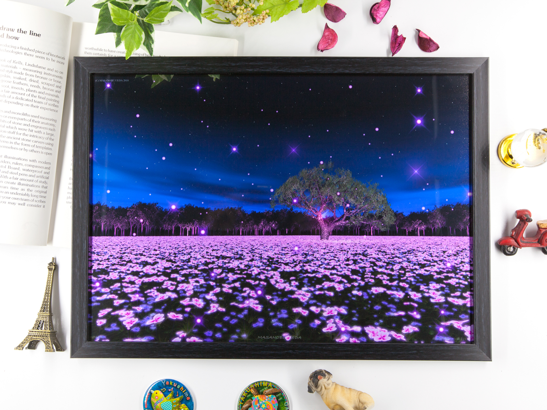 A3額付き 星降る花畑 アトリエ縄文じいさんネットショップ A3額付き 星降る花畑 アトリエ縄文じいさんネットショップ
