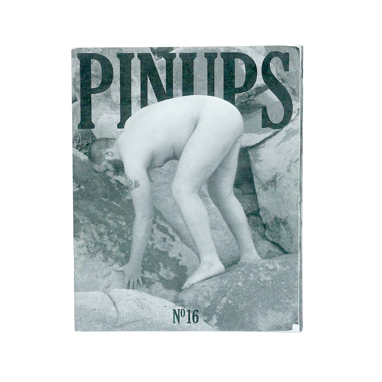 Pinups No 16 毒と楽園 Poison And Paradise Pinups No 16 毒と楽園 Poison And Paradise