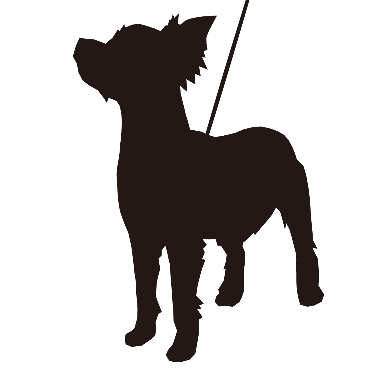 犬を散歩している女性 Sozaido 犬を散歩している女性 Sozaido